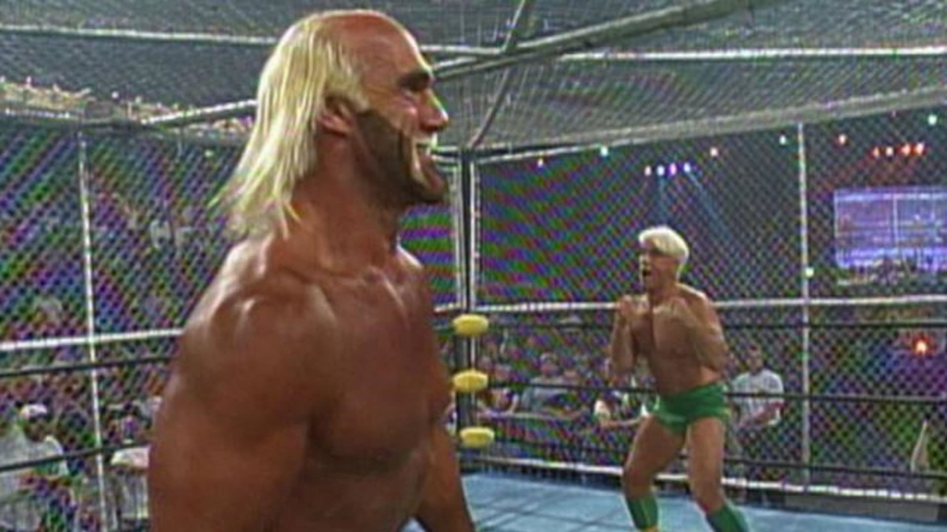 WCW Fall Brawl 1996 - immagine