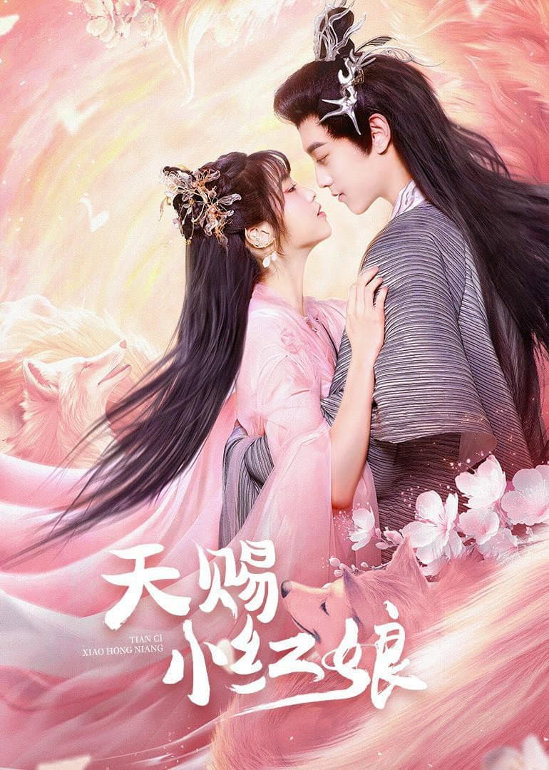 Poster di 天赐小红娘