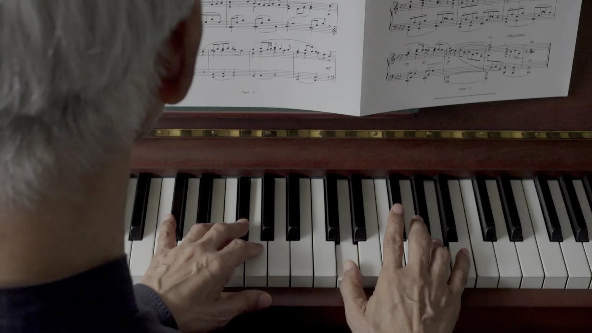 Ryuichi Sakamoto: Diaries - immagine
