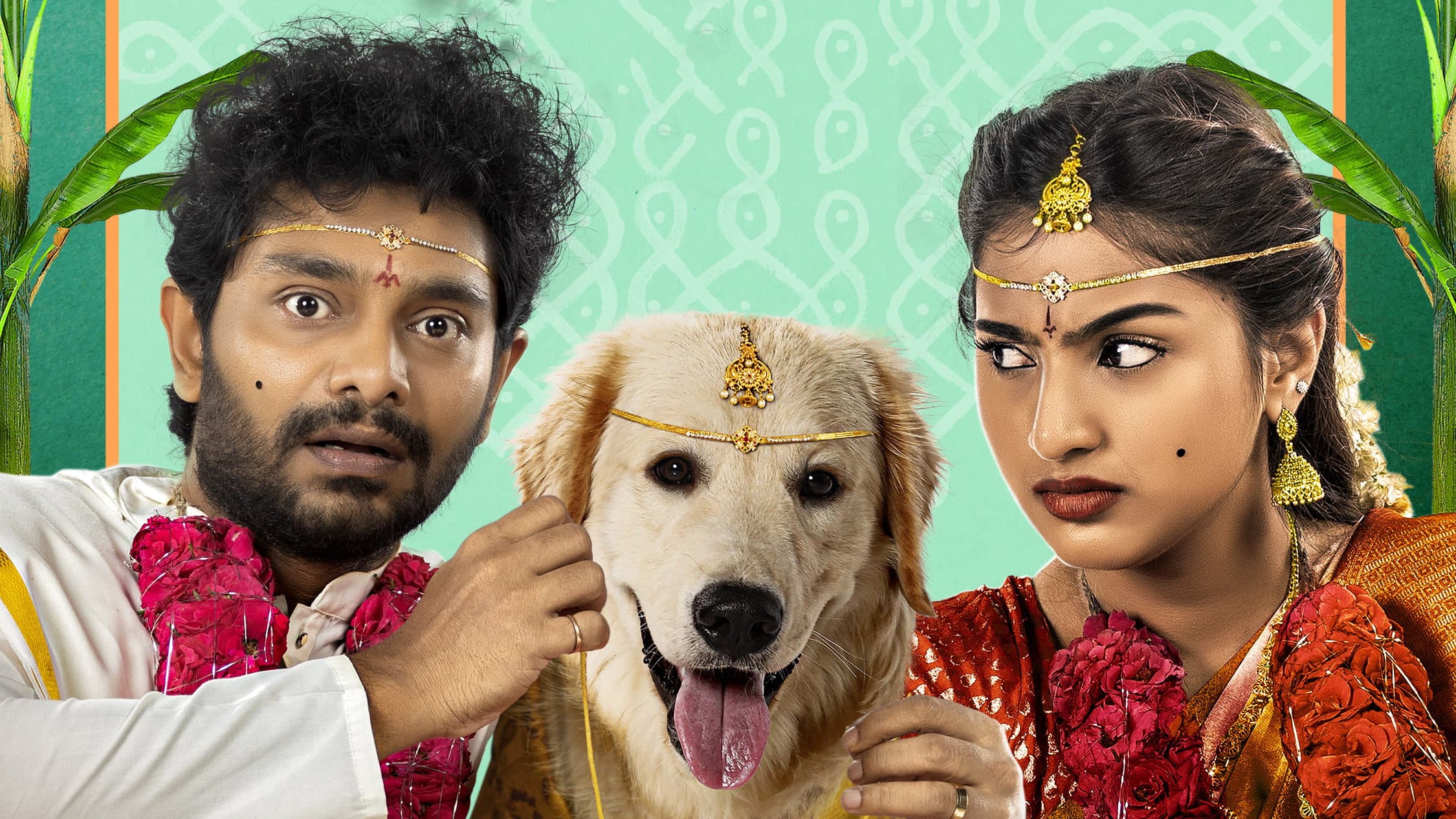 స్లమ్ డాగ్ హస్బెండ్ - immagine
