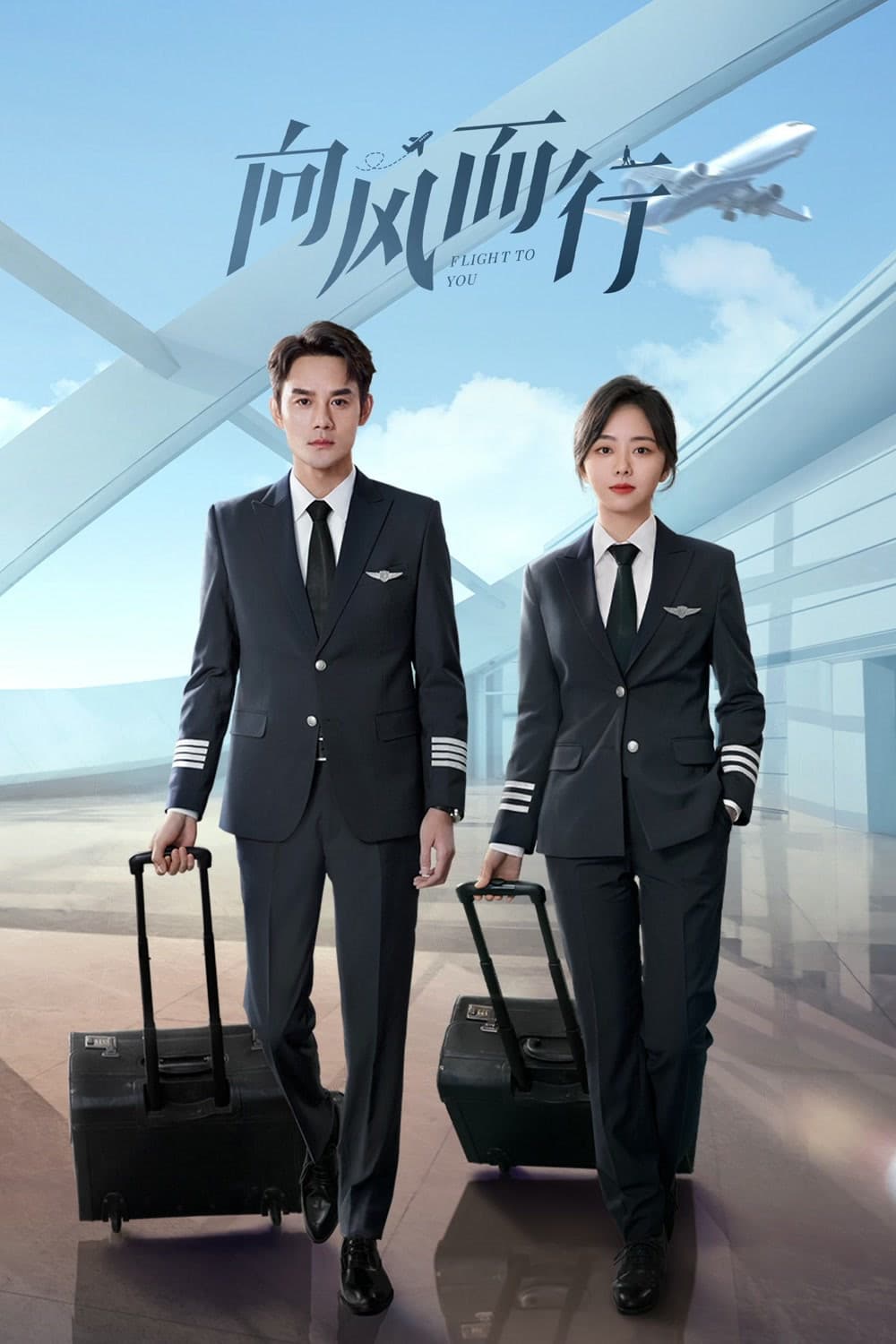 Poster di 向风而行