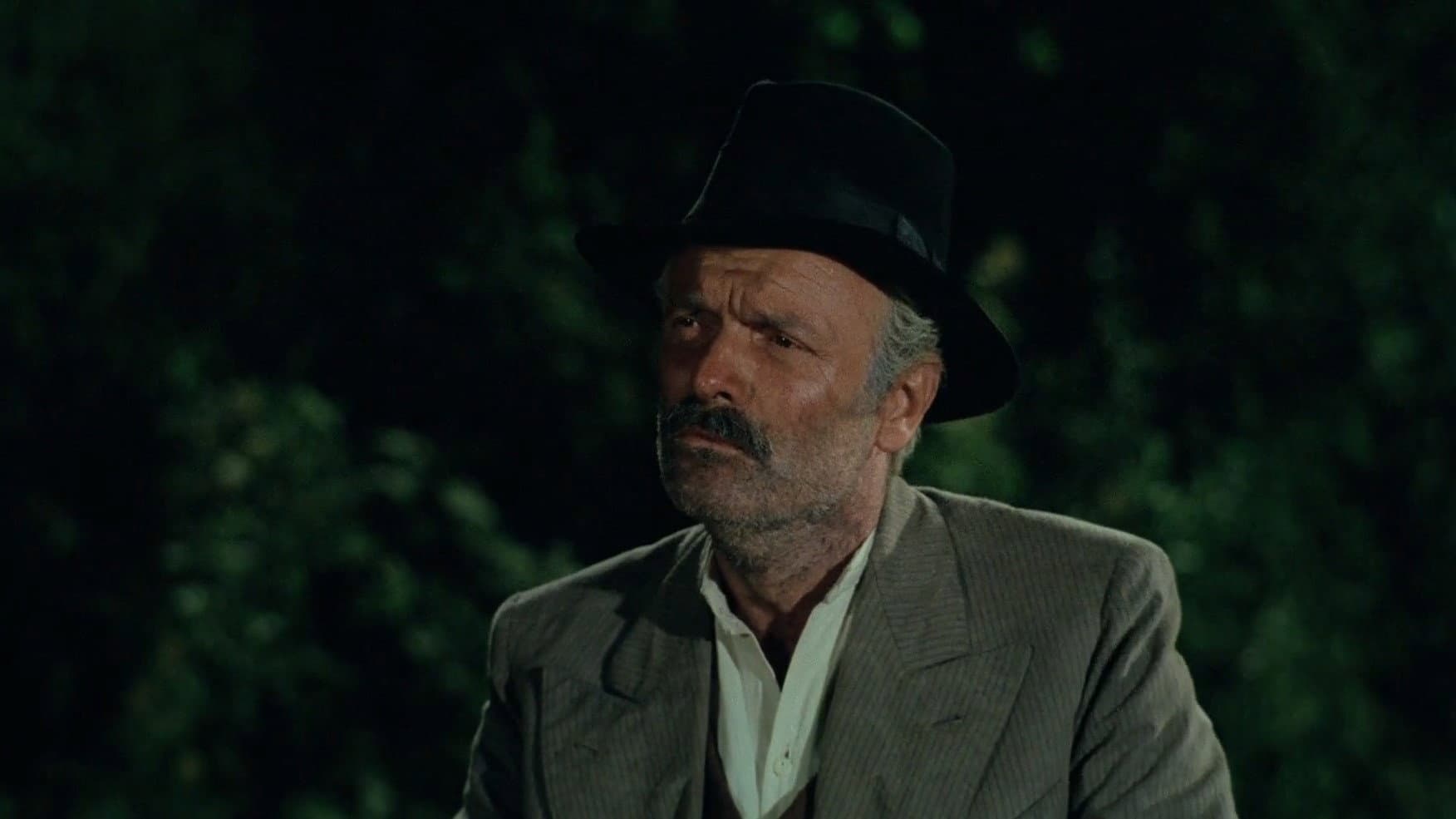 La notte di San Lorenzo - immagine