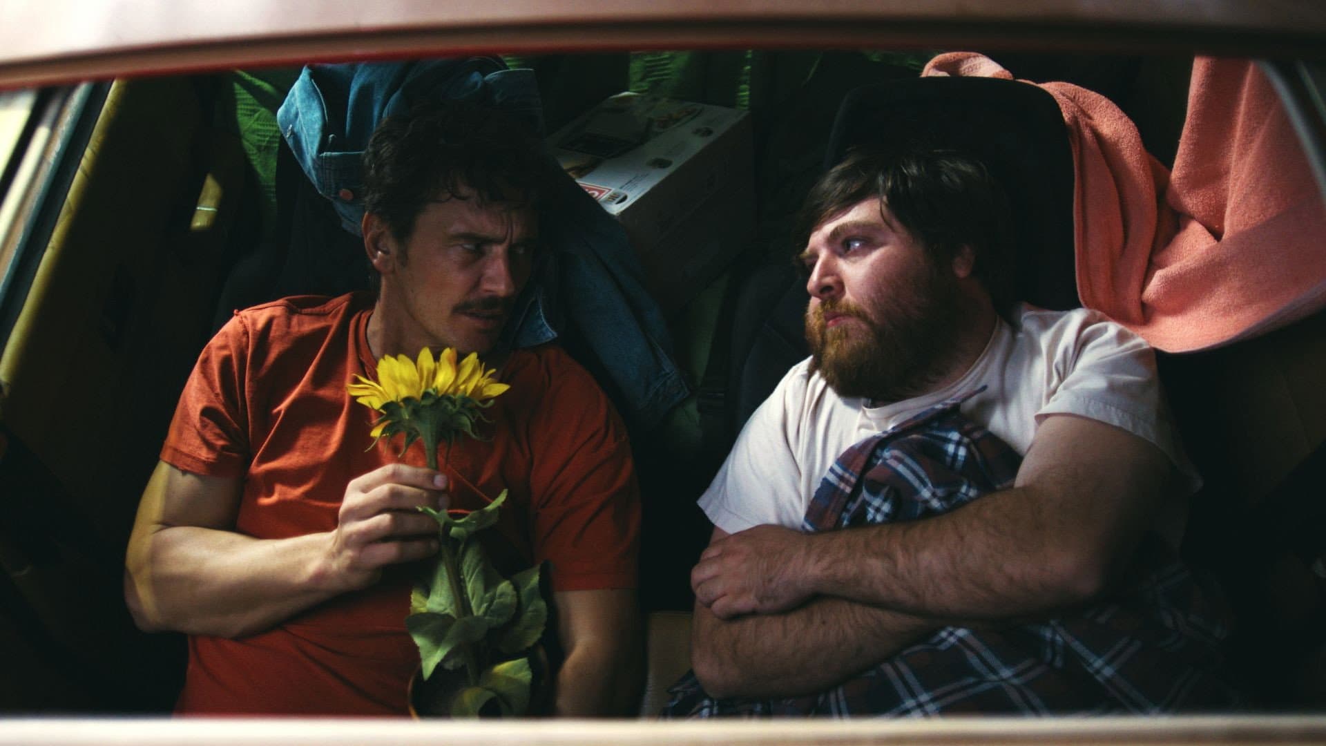 Love Meets in the Sunshine - immagine
