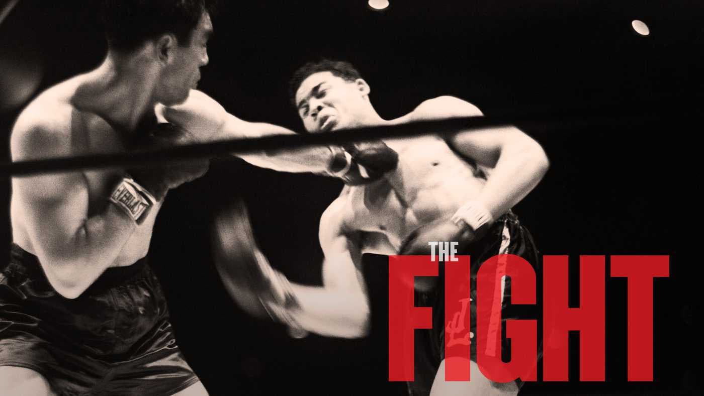 The Fight - immagine
