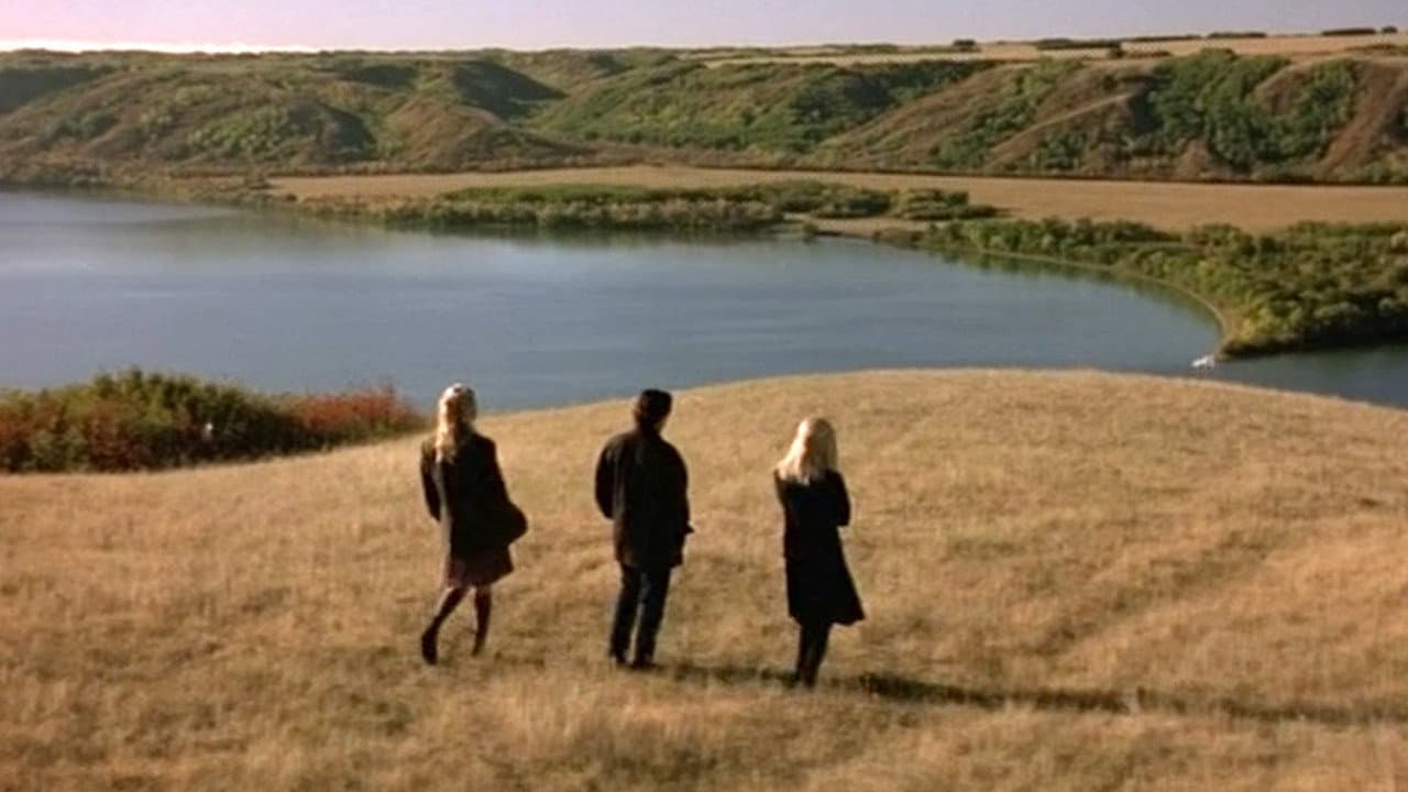 Dark Summer - immagine