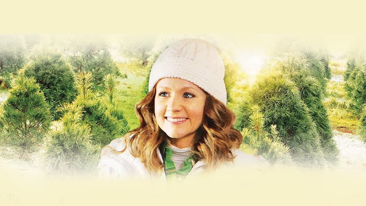 An Evergreen Christmas - immagine