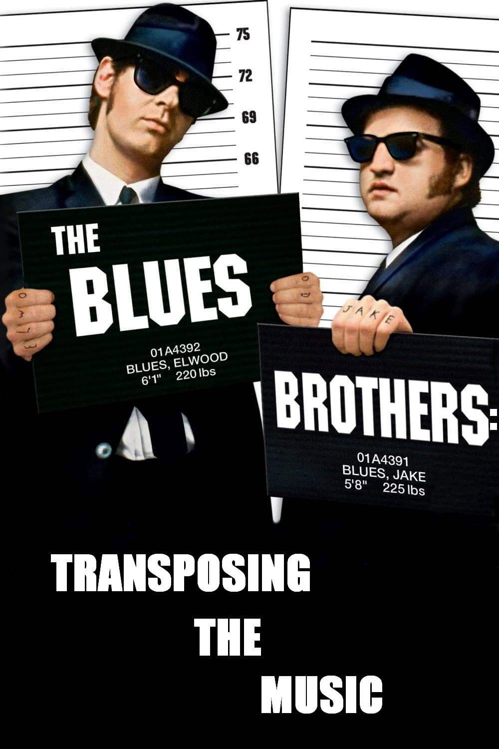 Poster di The Blues Brothers: Transposing The Music