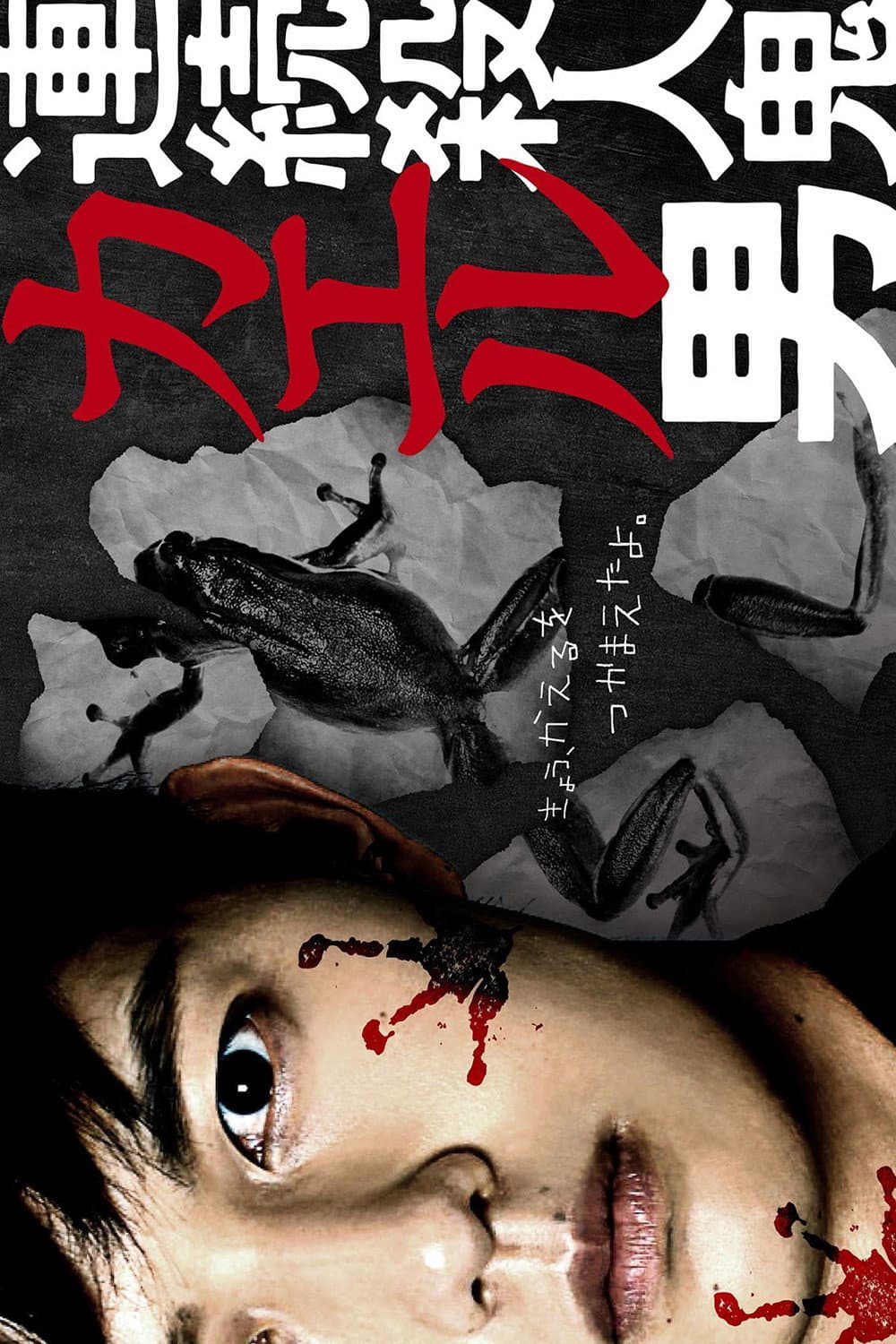 Poster di 連続殺人鬼カエル男