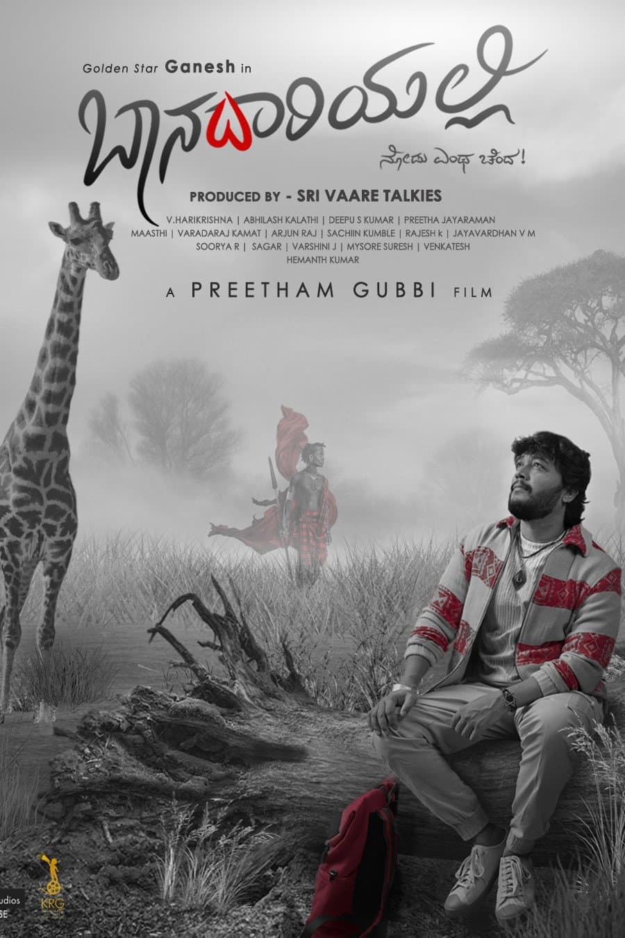 Poster di ಬಾನದಾರಿಯಲ್ಲಿ
