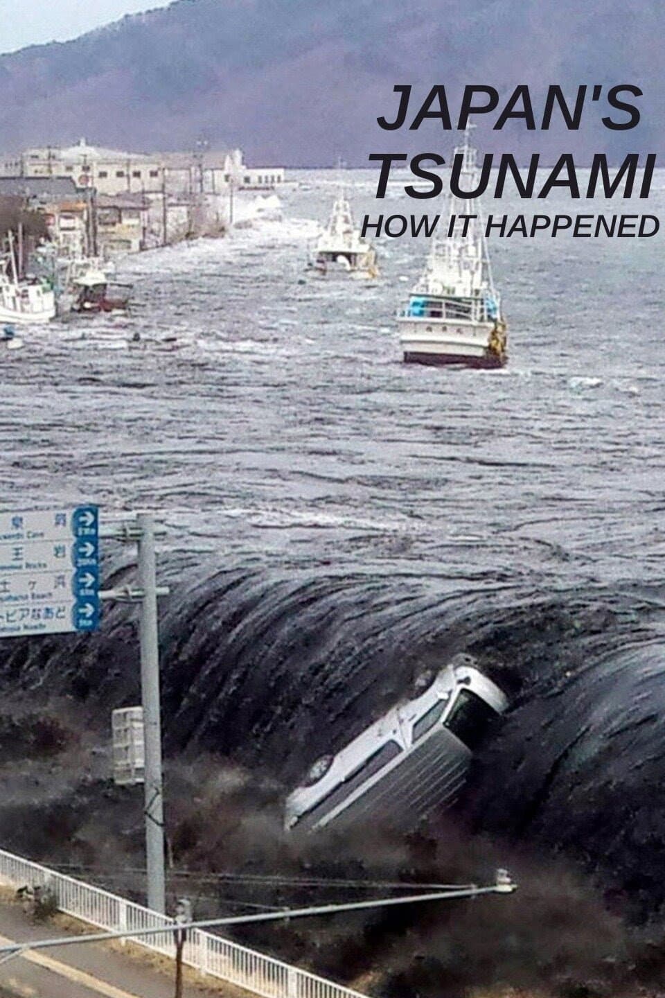 Poster di Japan's Tsunami: How It Happened