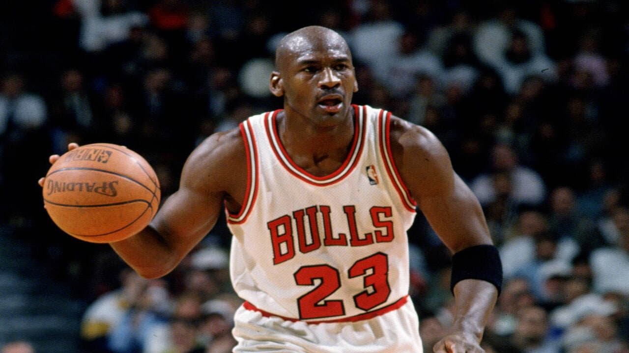 Michael Jordan to the Max - immagine
