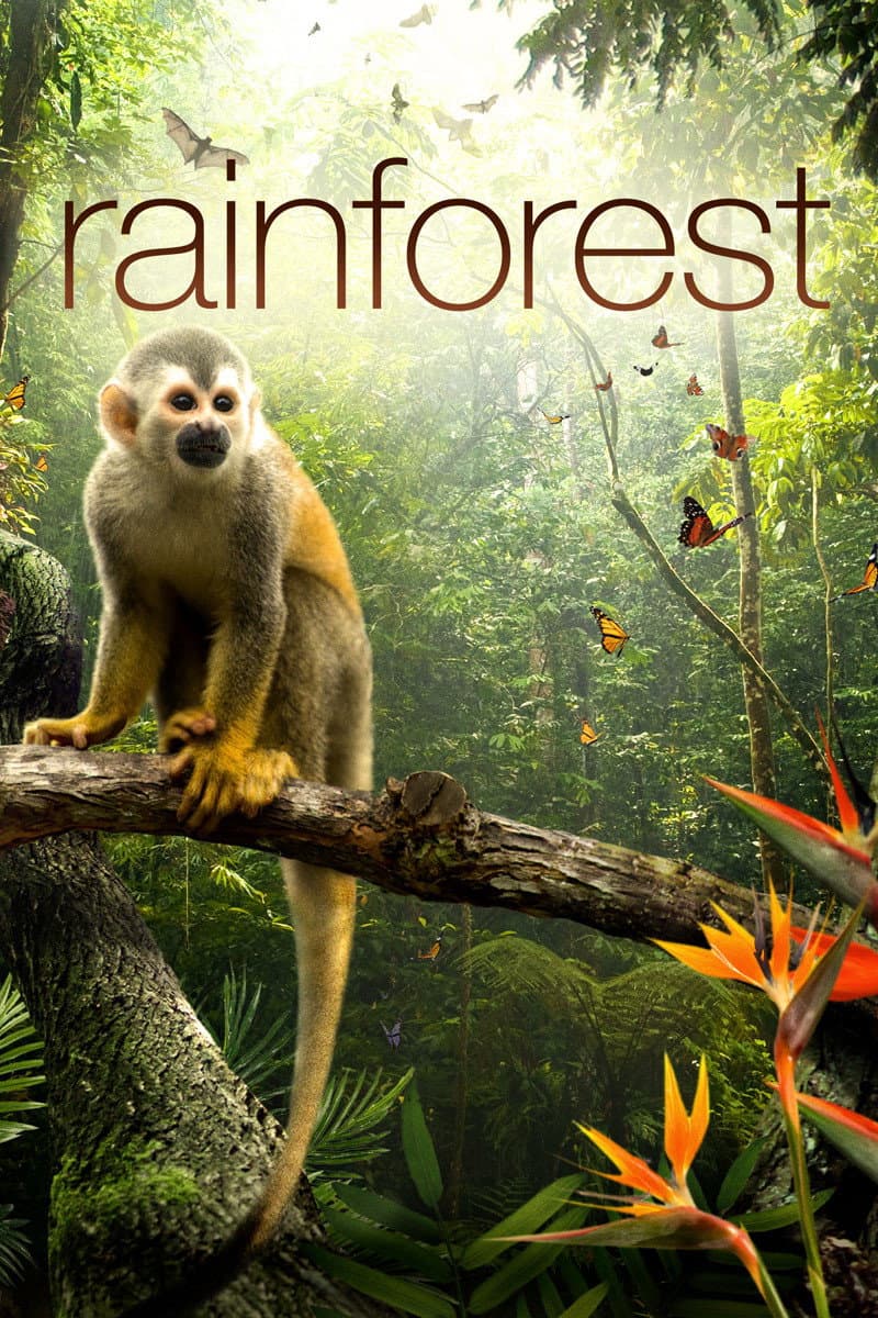 Poster di I segreti della Foresta Pluviale