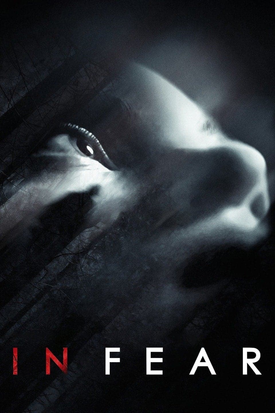 Poster di In Fear