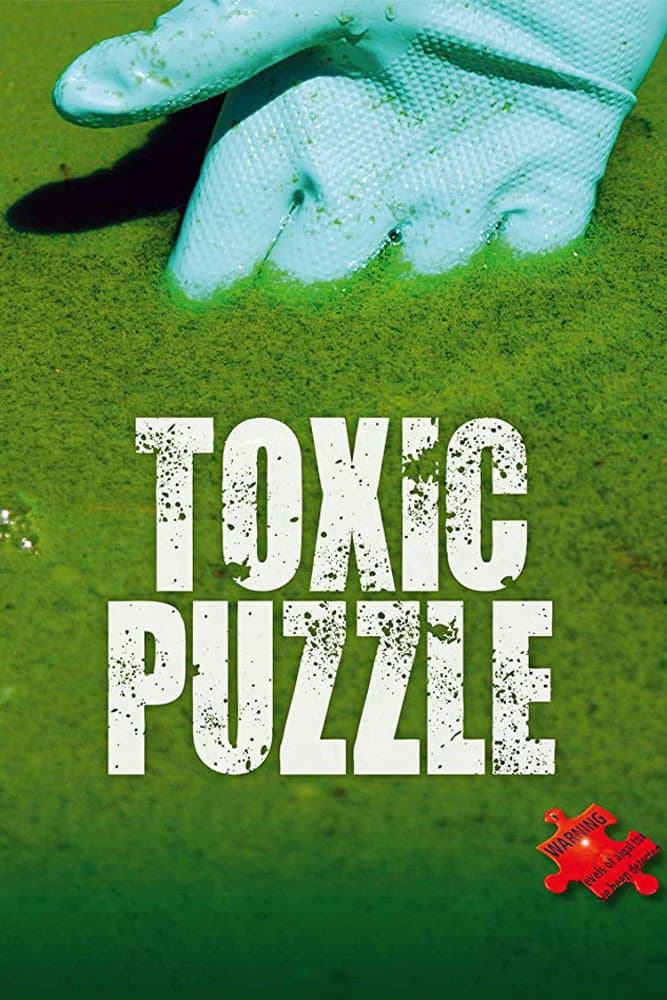 Poster di Toxic Puzzle
