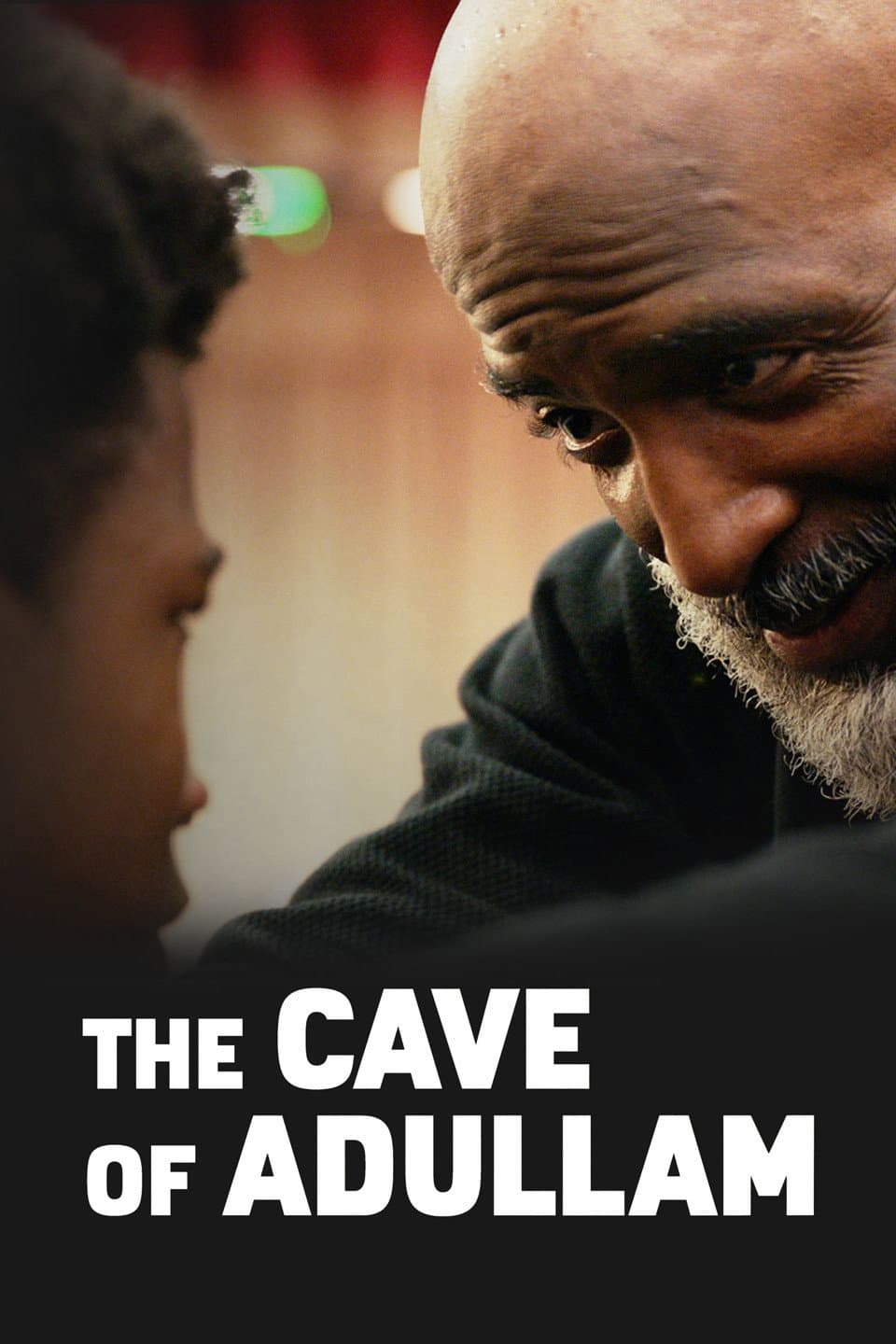 Poster di The Cave of Adullam