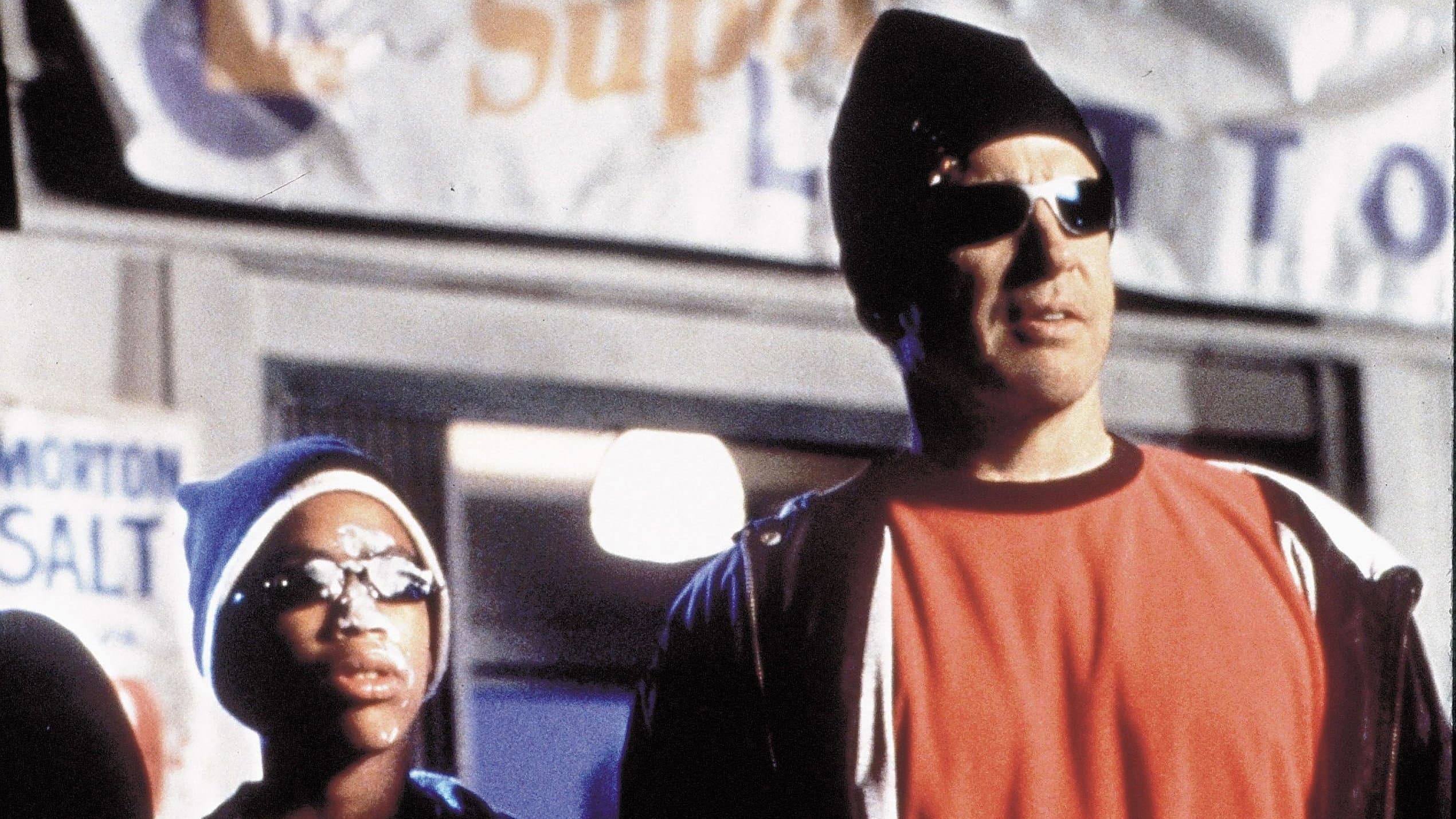 Bulworth - Il senatore - immagine