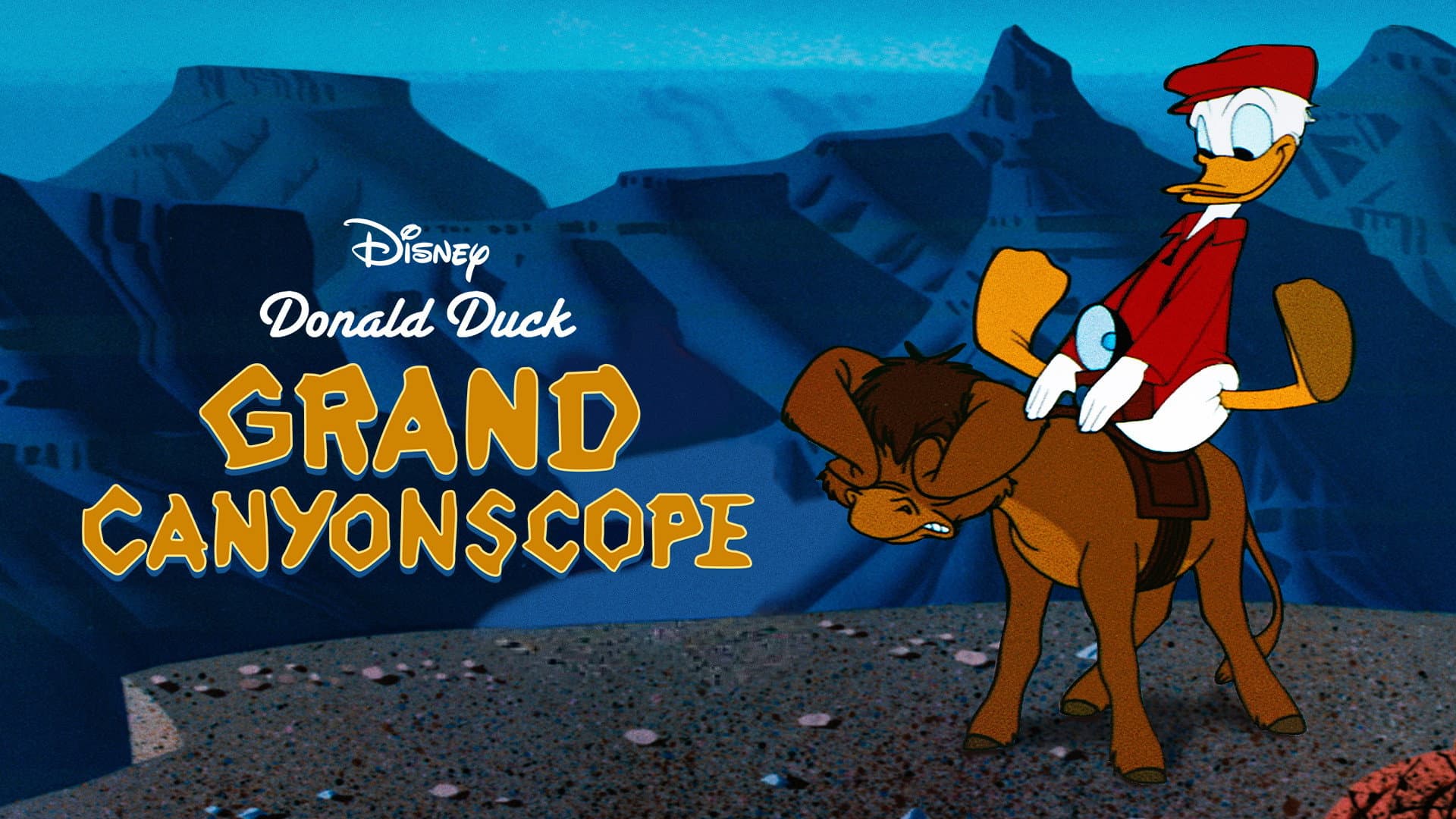 Gita al Grand Canyon - immagine