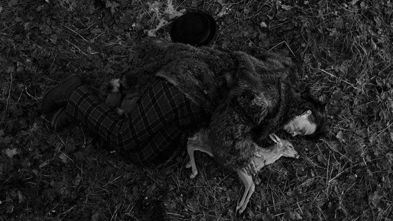 Dead Man - immagine