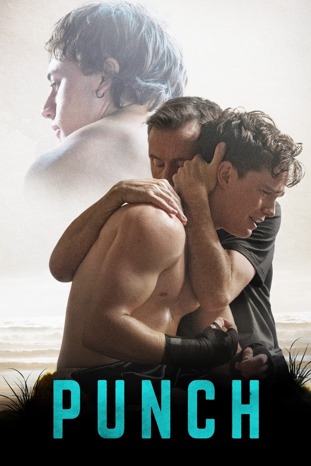 Poster di Punch