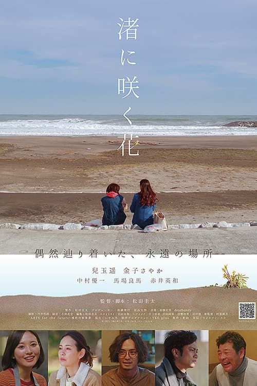 Poster di 渚に咲く花
