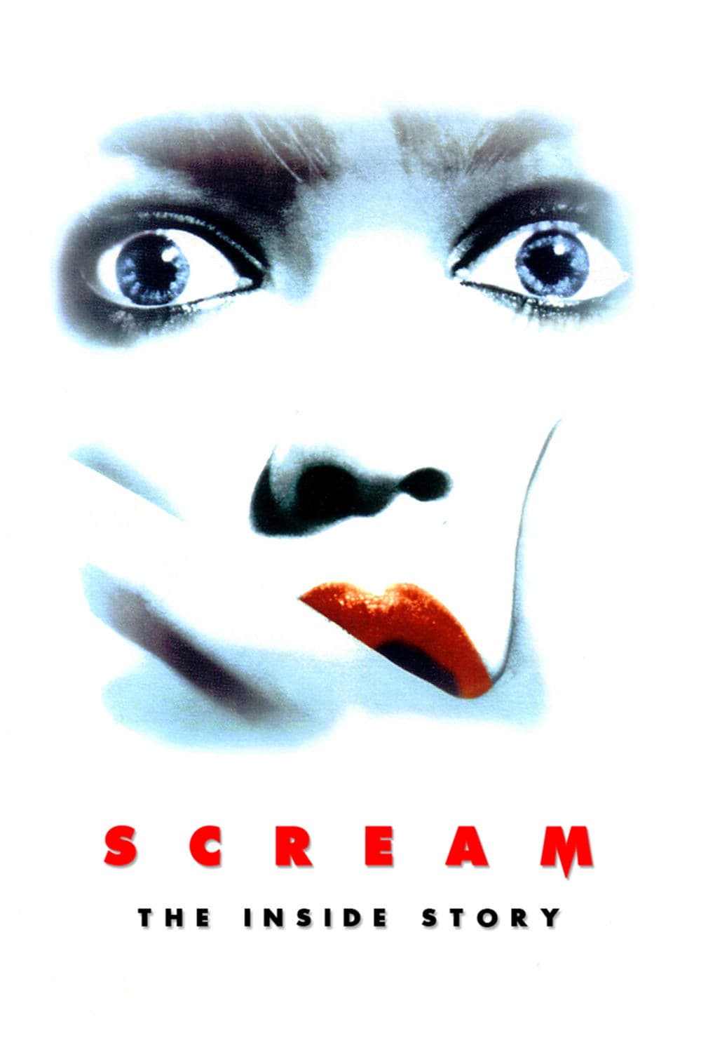 Poster di Scream: The Inside Story