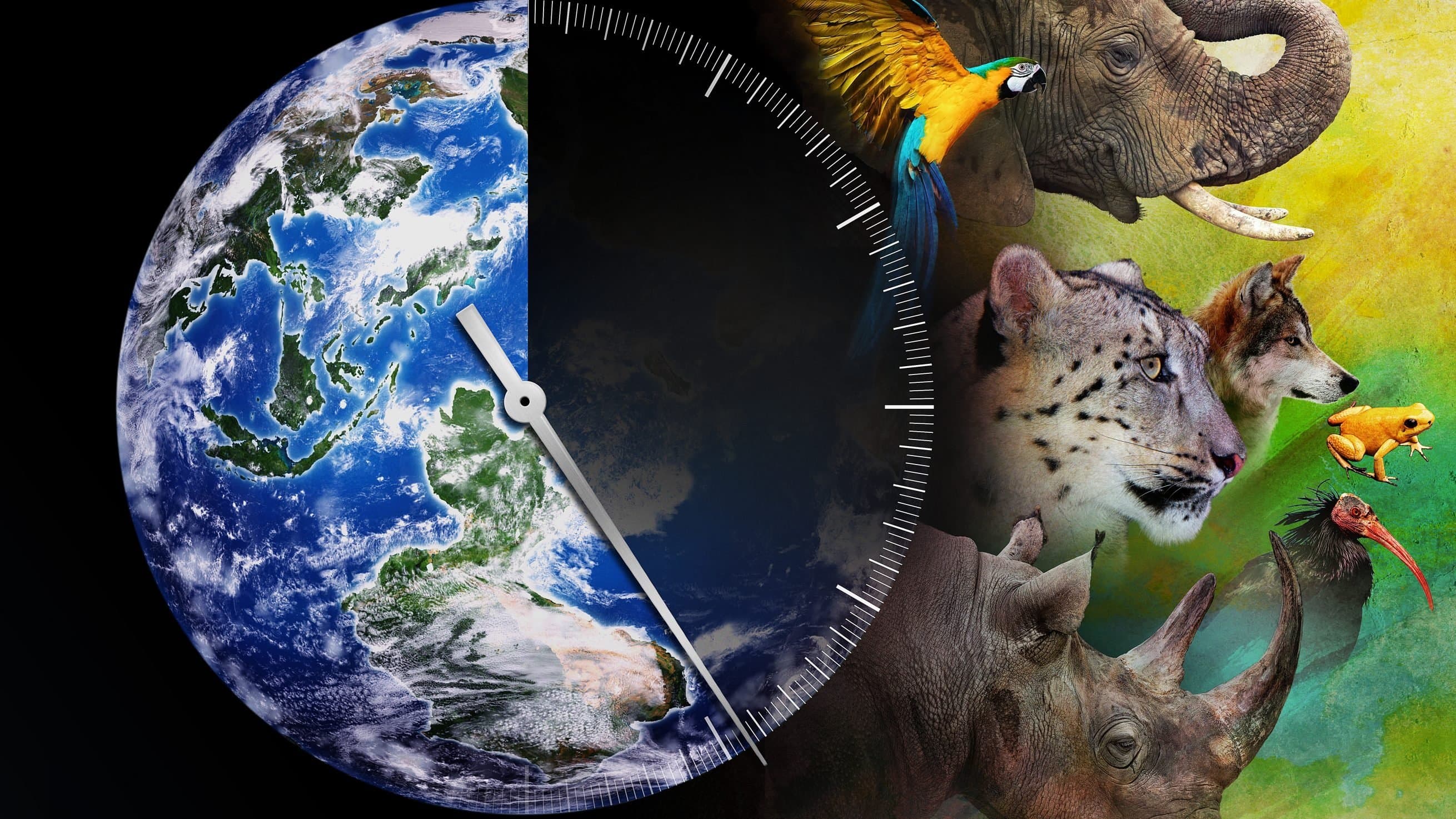Racing Extinction - immagine