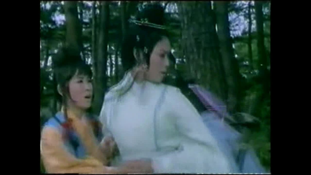 Fei long duo bo - immagine