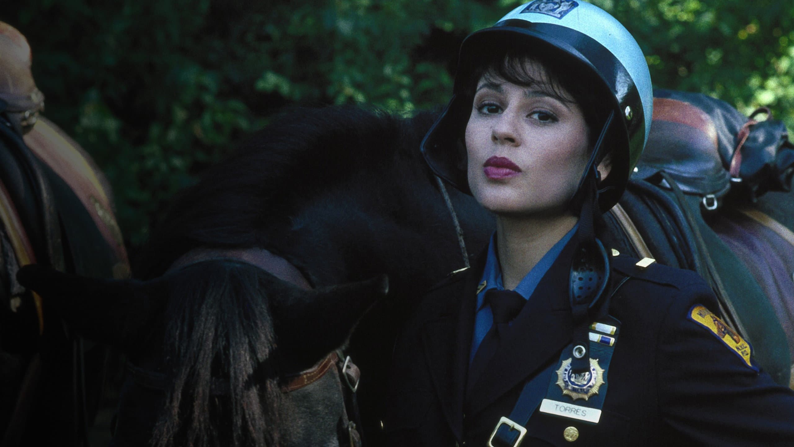 NYPD Mounted - immagine