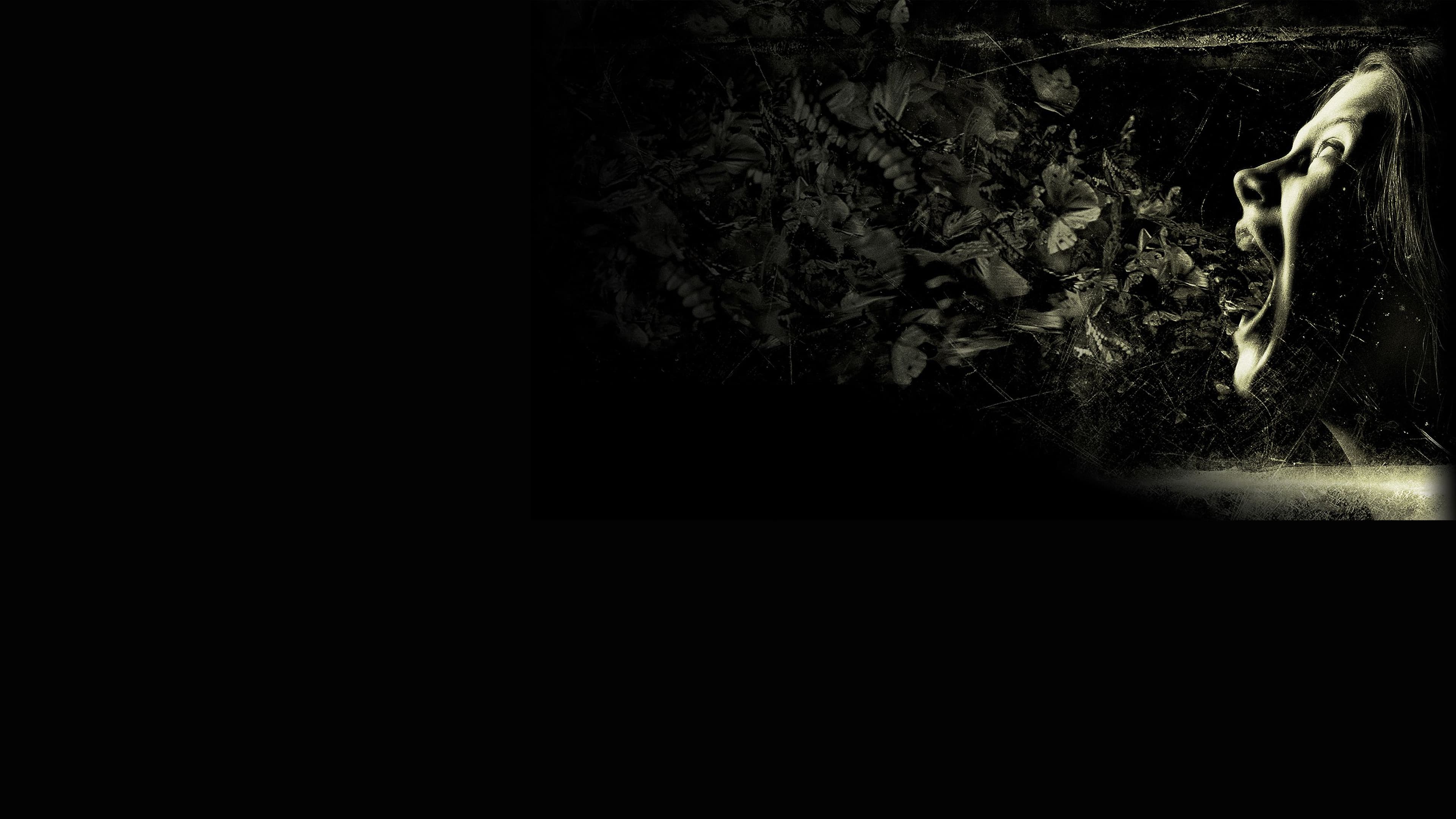 The Possession - immagine