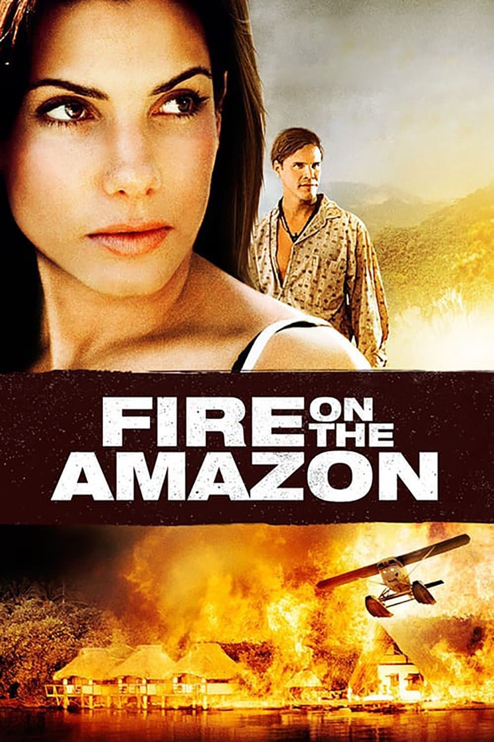 Poster di Fiamme sull'Amazzonia