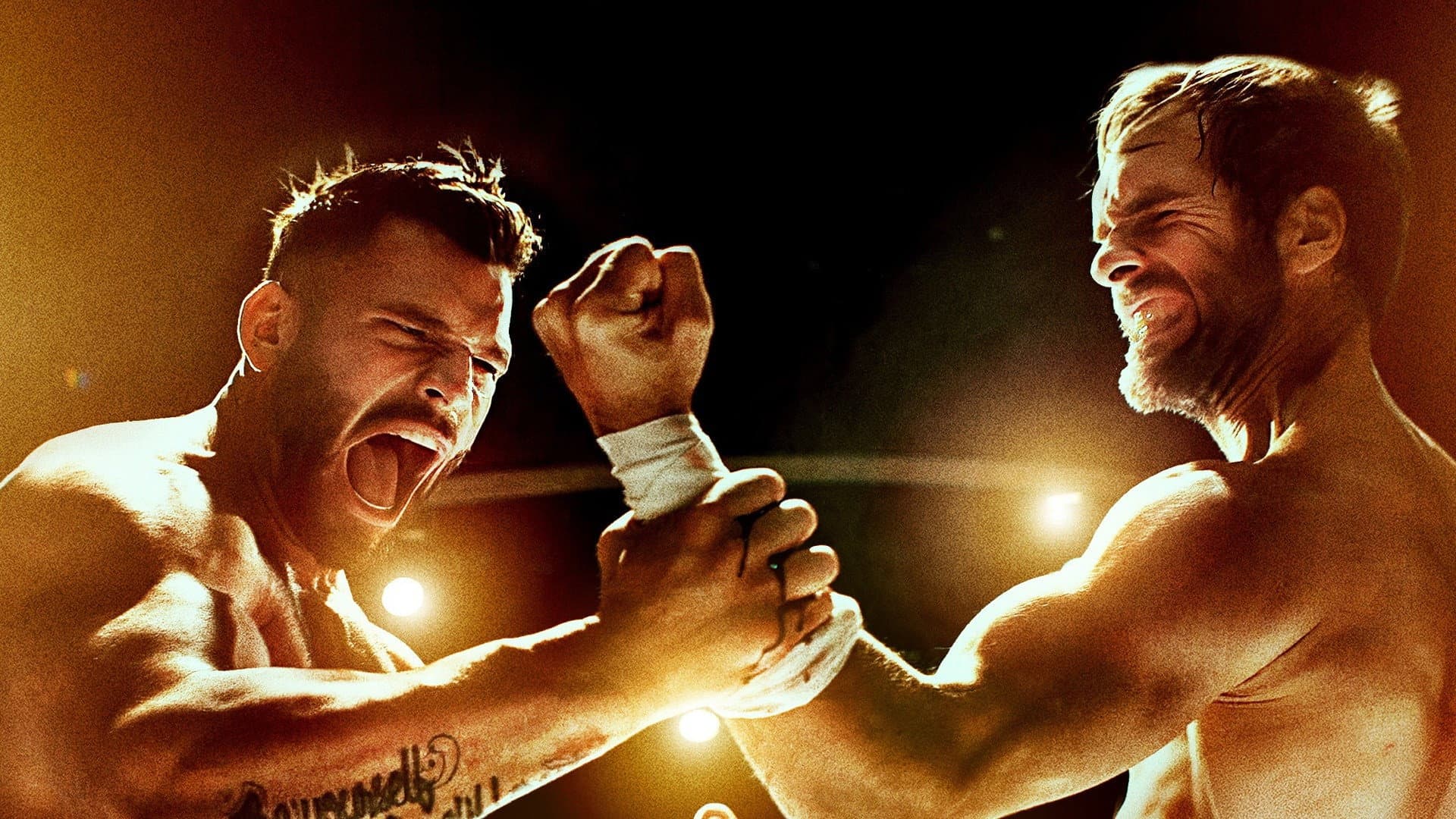 The Last Kumite - immagine