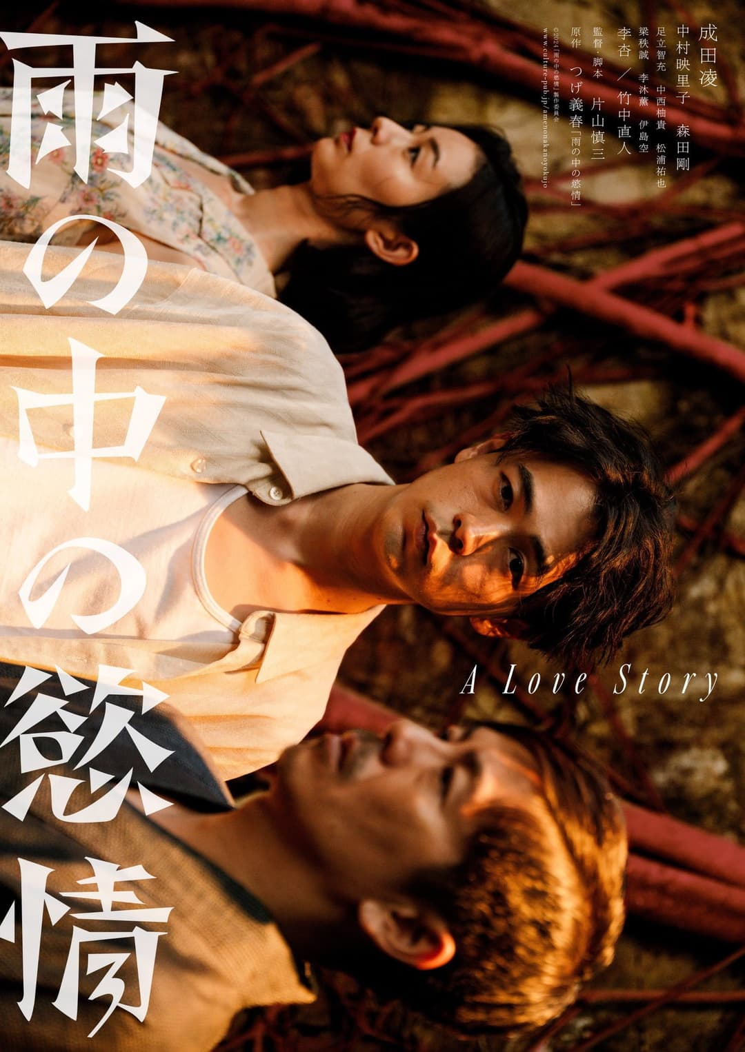 Poster di 雨の中の慾情
