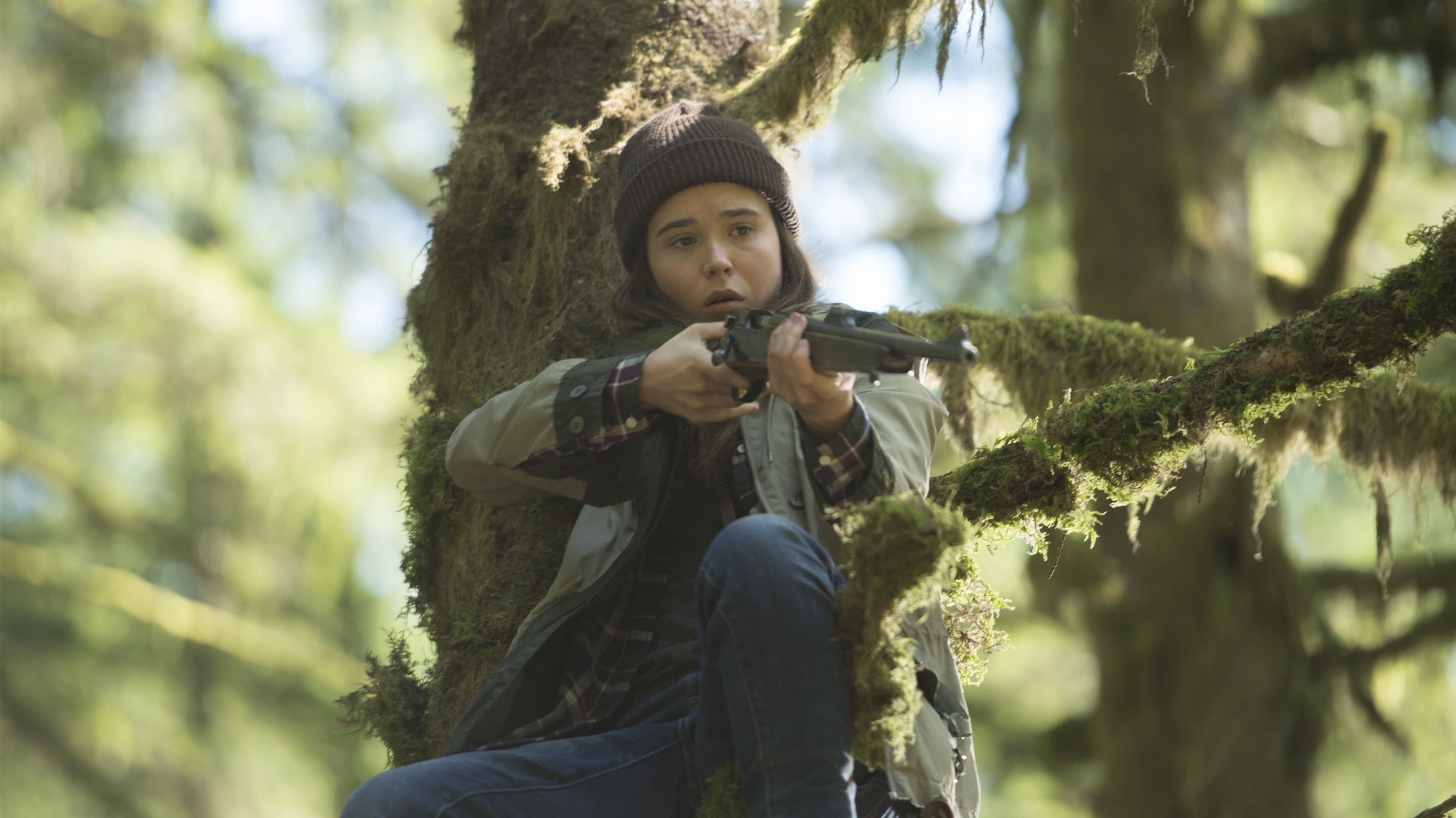 Into the Forest - immagine