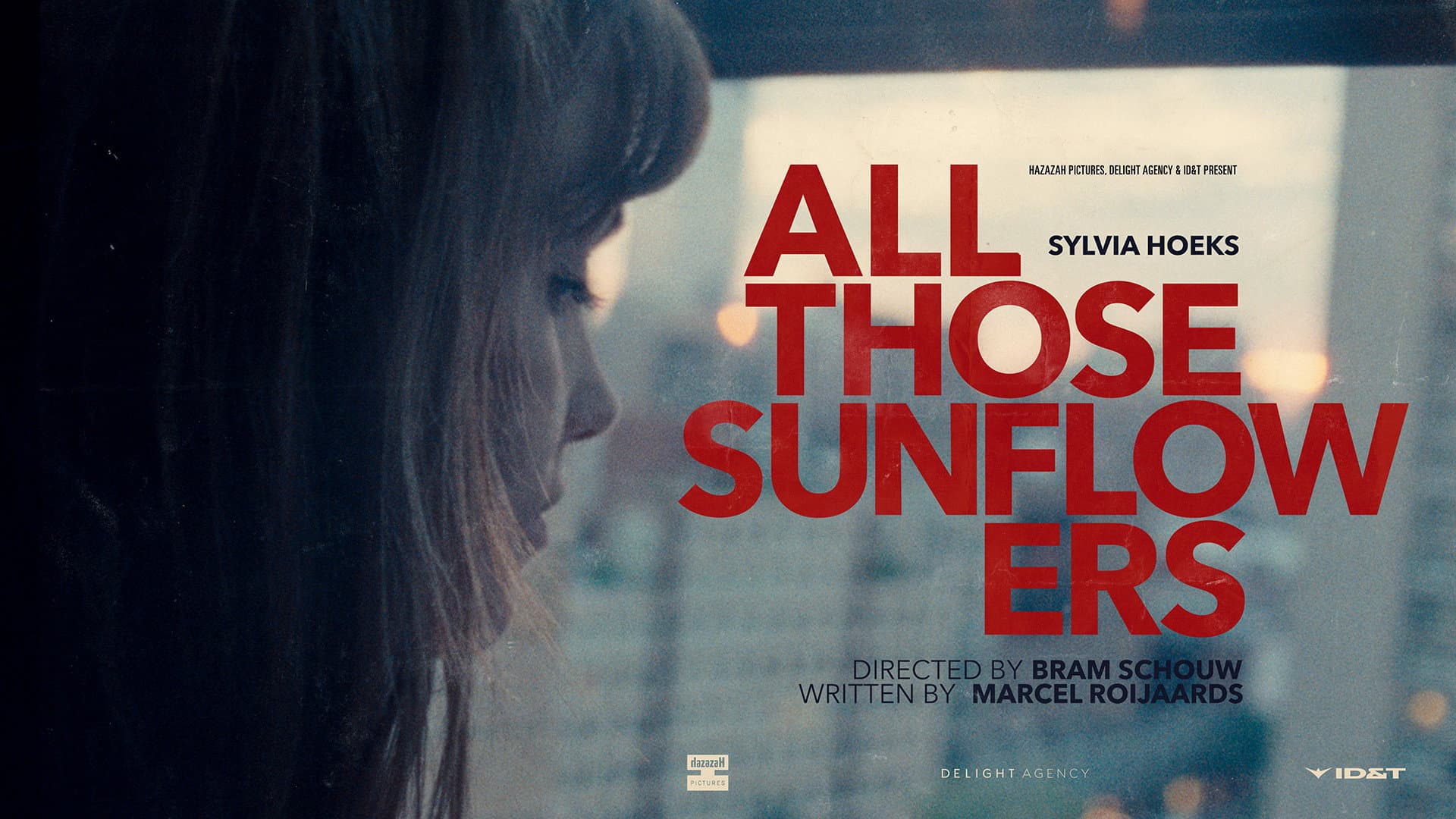 All Those Sunflowers - immagine
