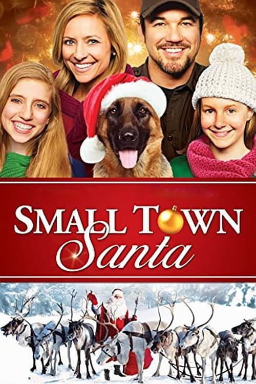 Poster di Small Town Santa
