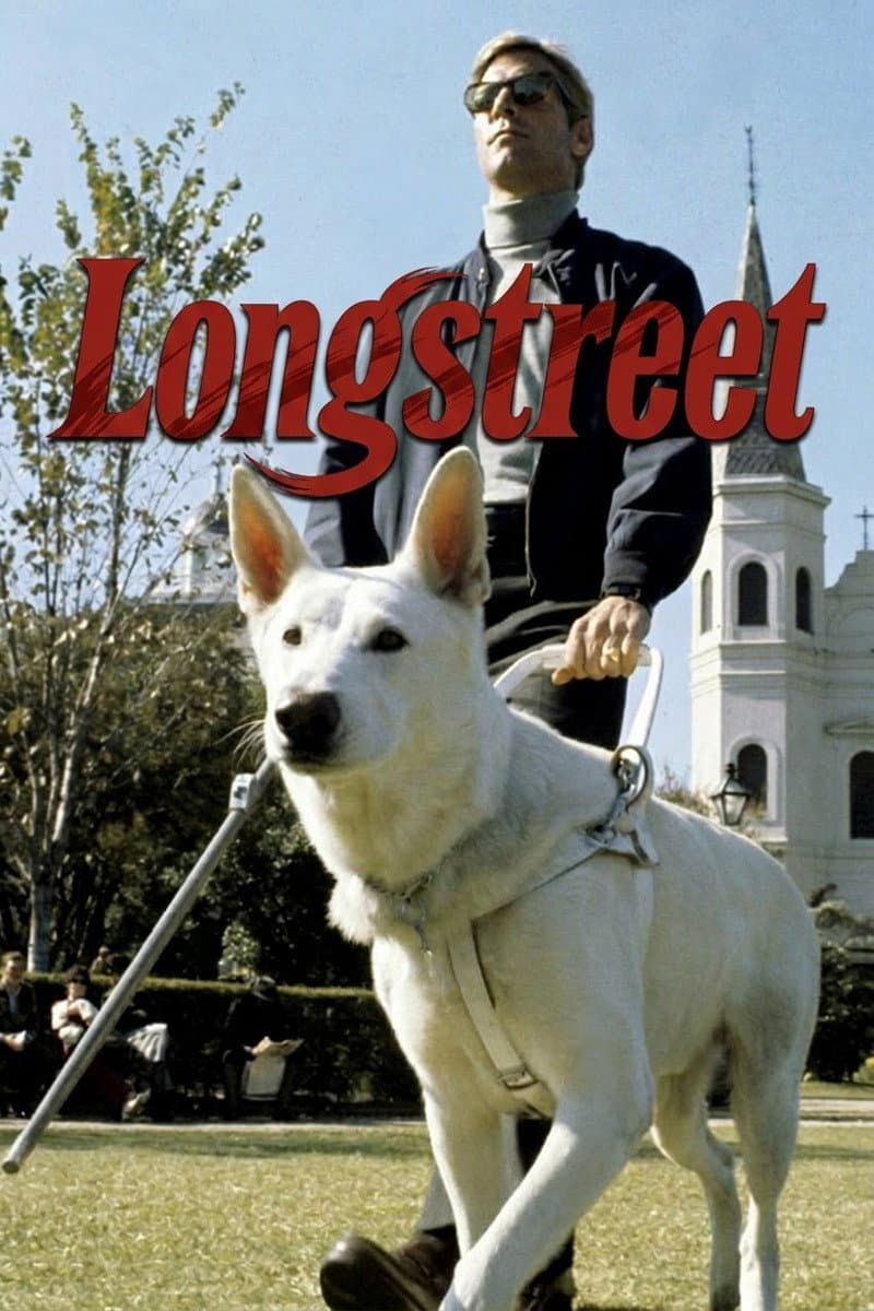 Poster di Longstreet