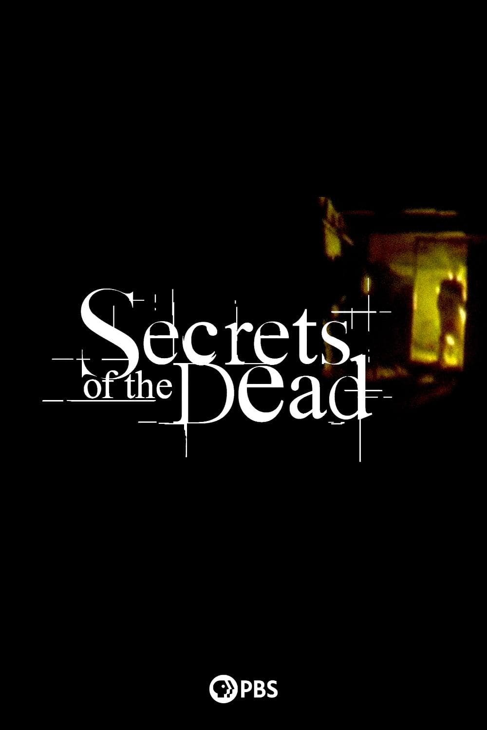 Poster di Secrets of the Dead