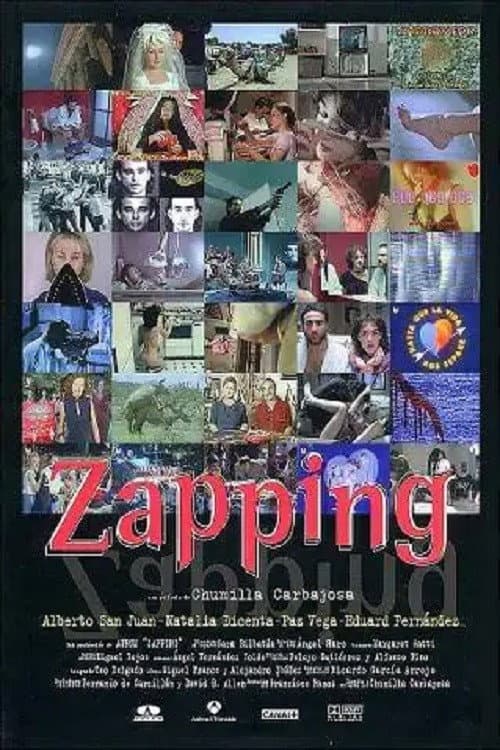 Poster di Zapping
