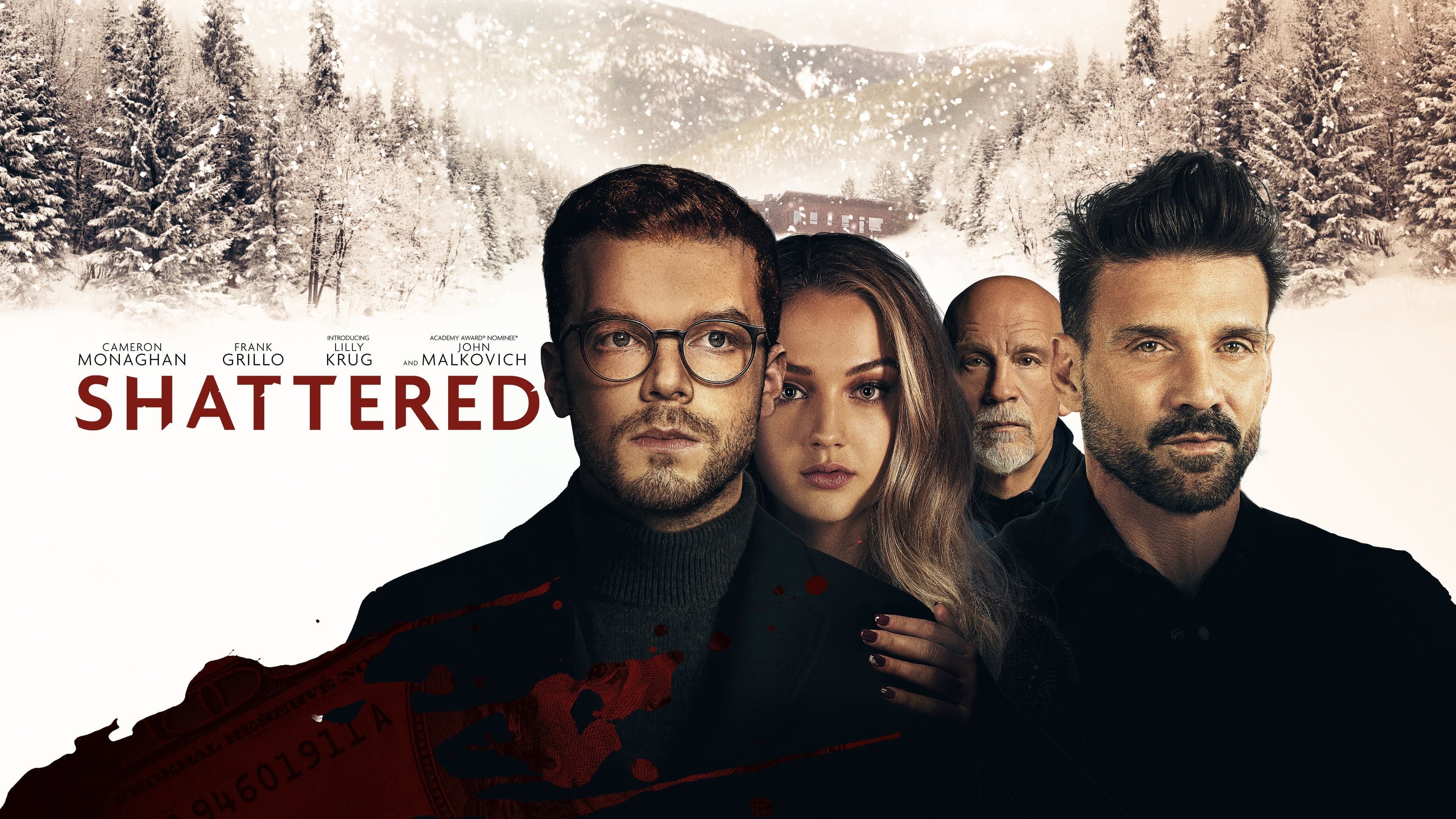 Shattered - L'inganno - immagine