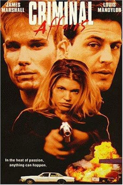 Poster di Criminal Affairs