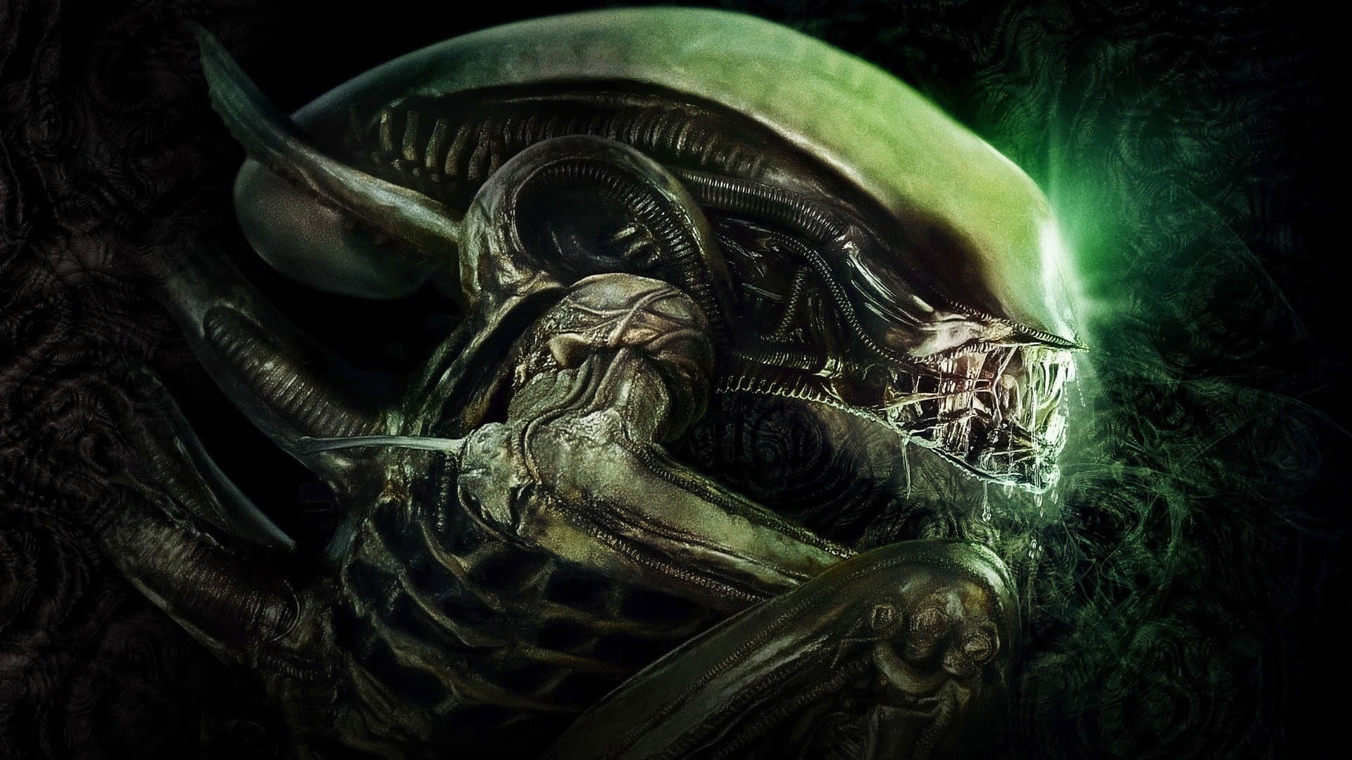 Alien - immagine