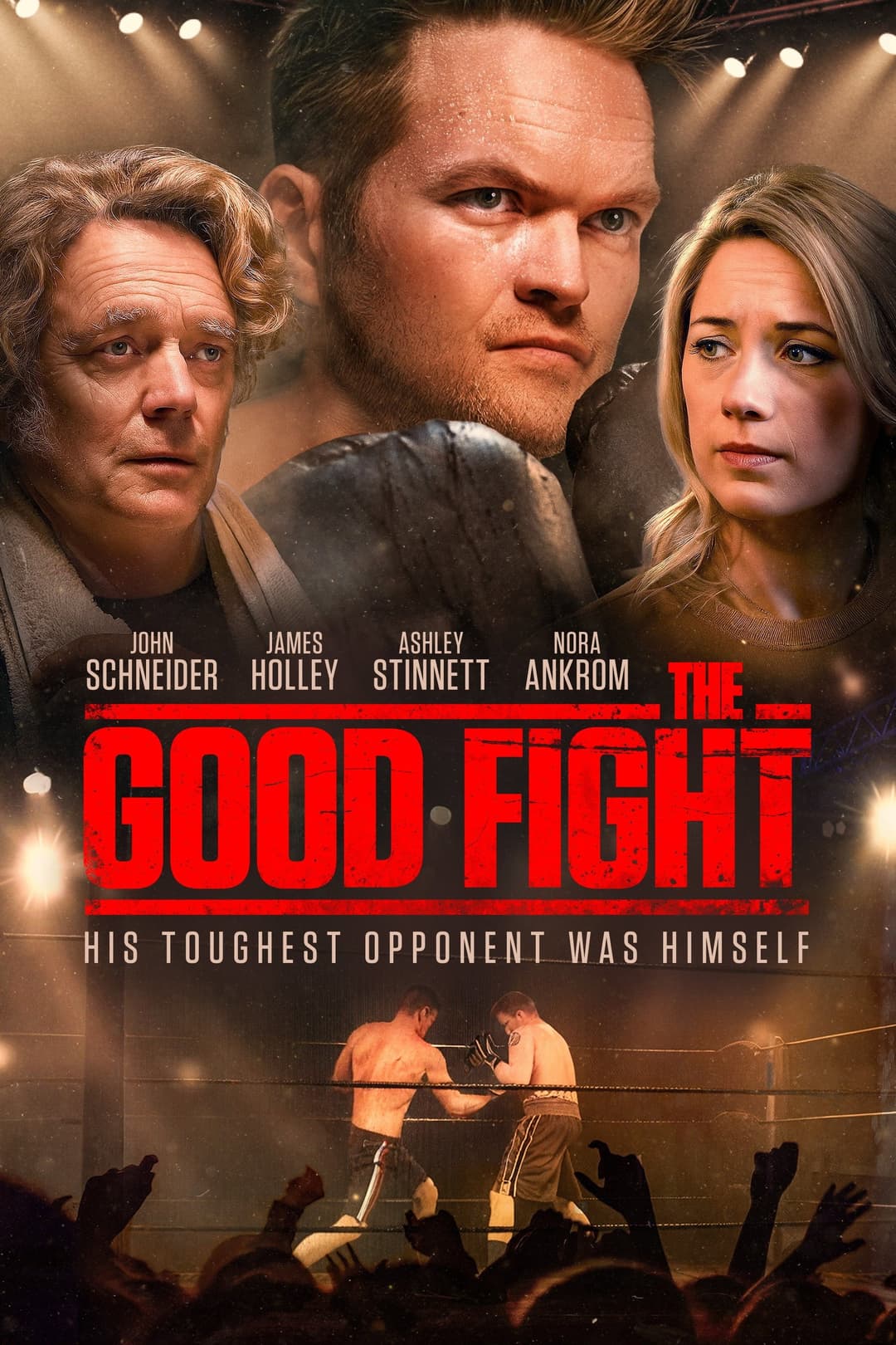 Poster di The Good Fight