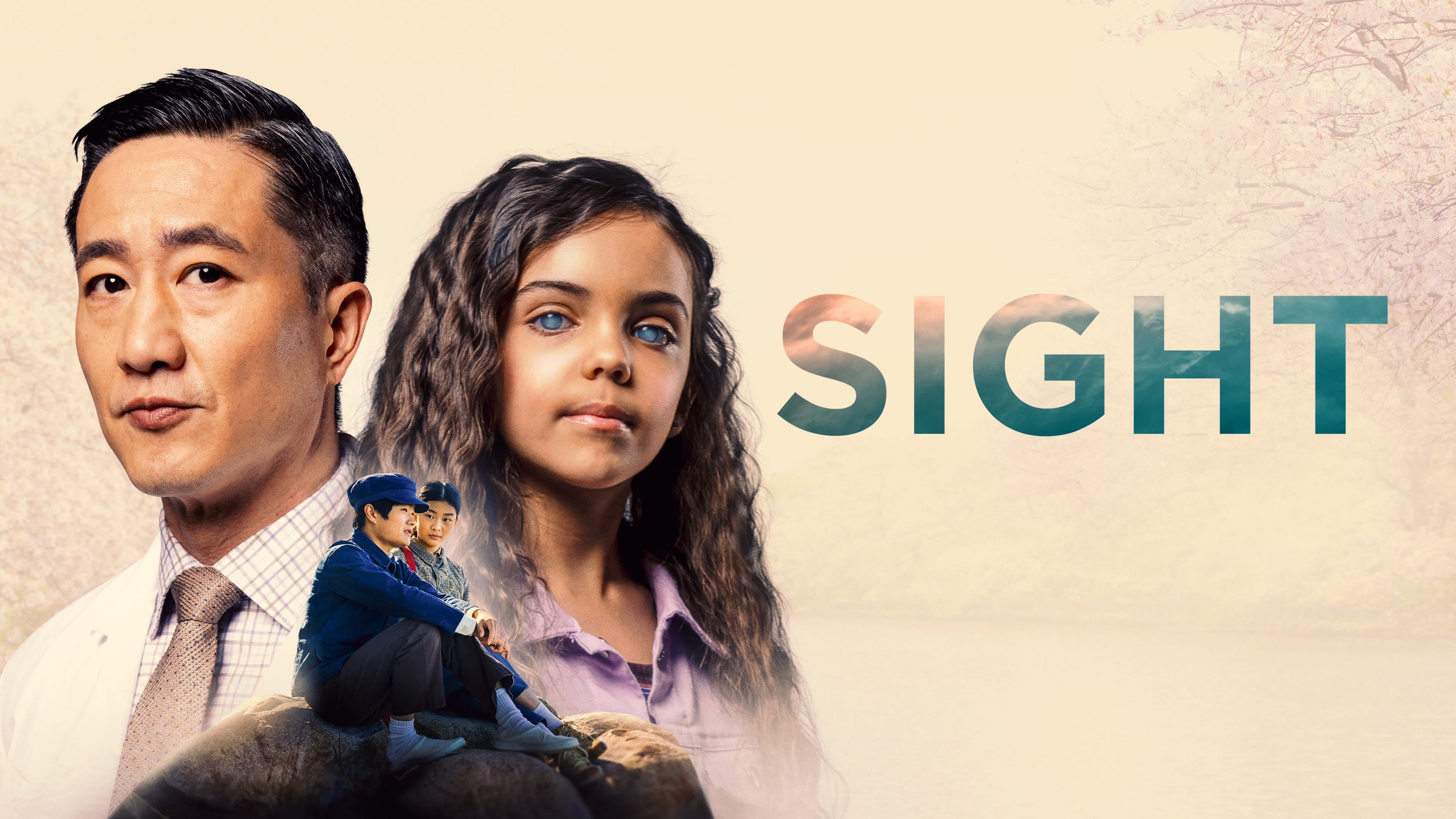 Sight - immagine