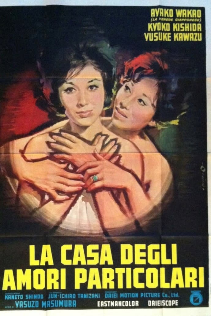 Poster di La casa degli amori particolari