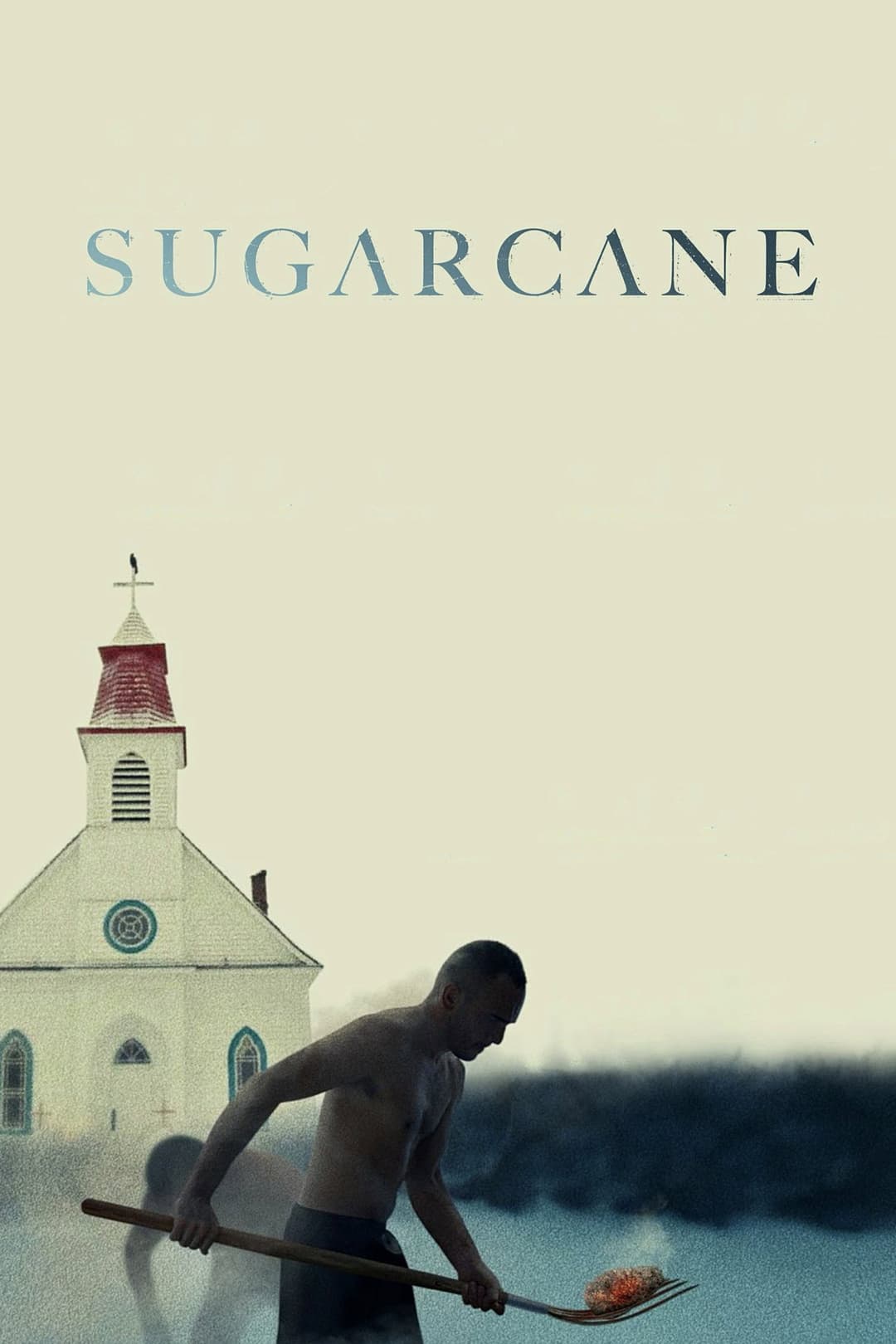 Poster di Sugarcane