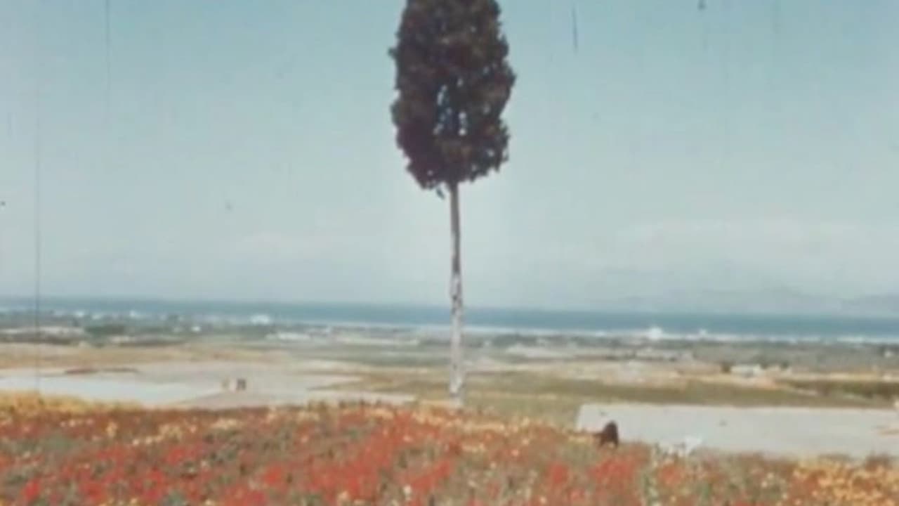 Nausicaa - immagine
