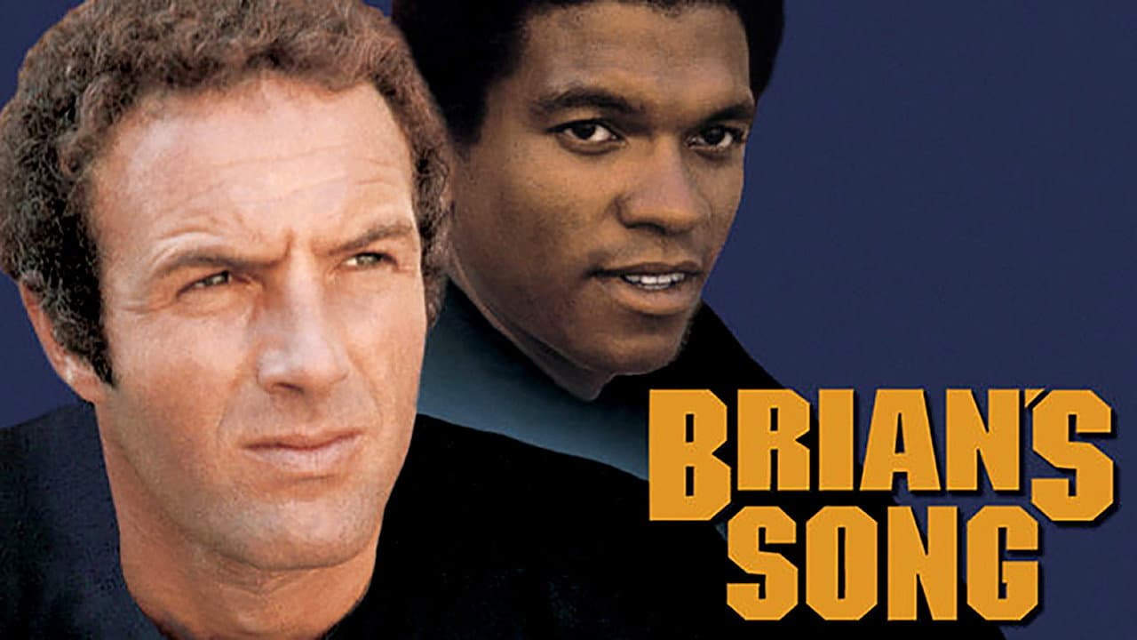 La canzone di Brian - immagine