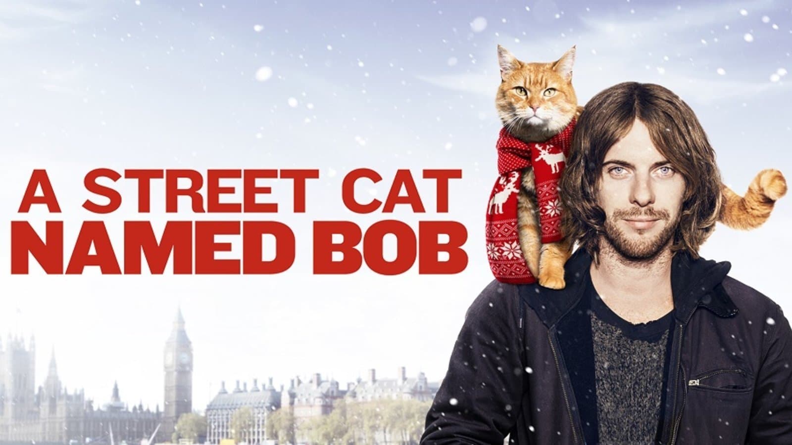 A spasso con Bob - immagine