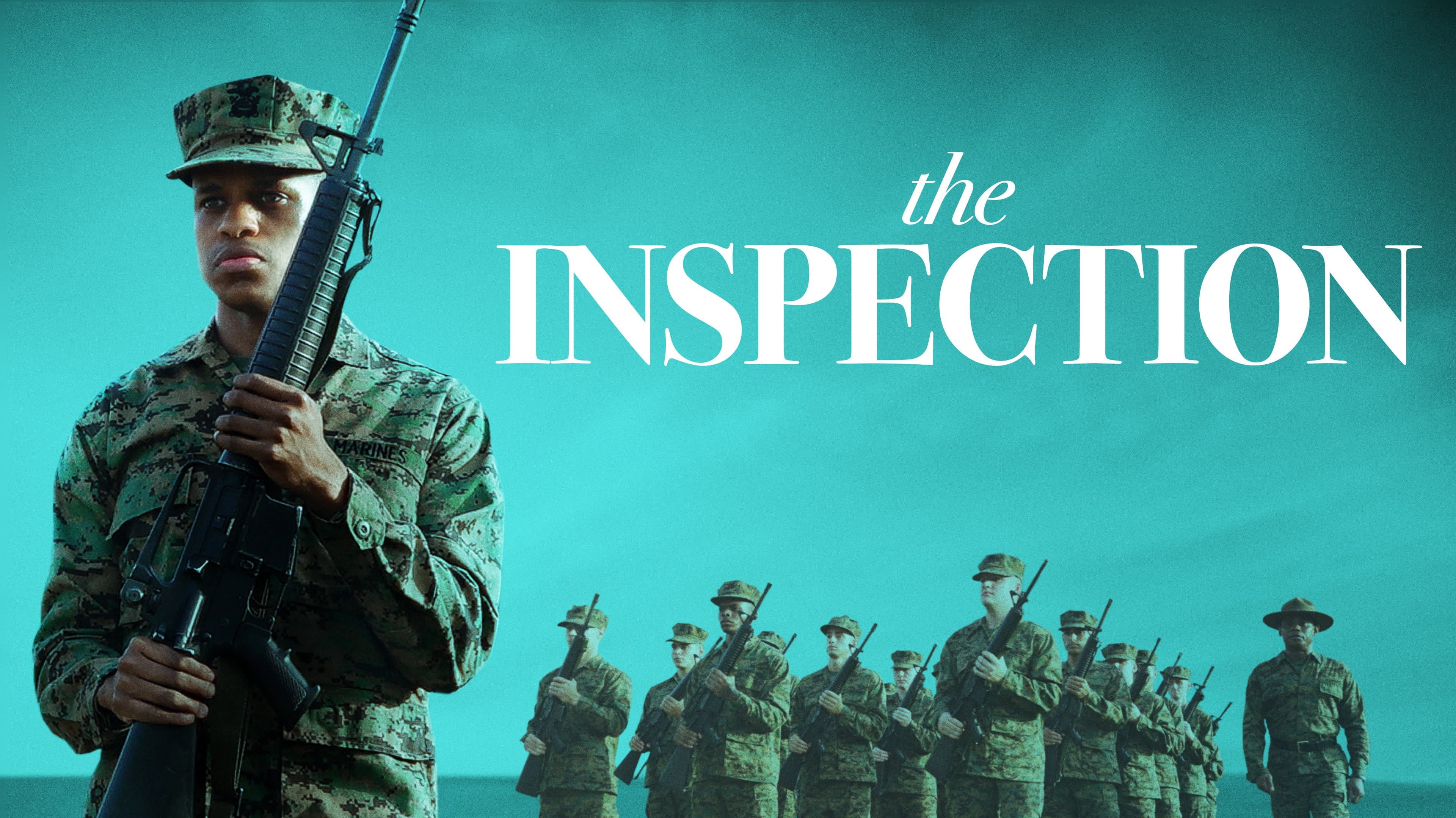 The Inspection - immagine
