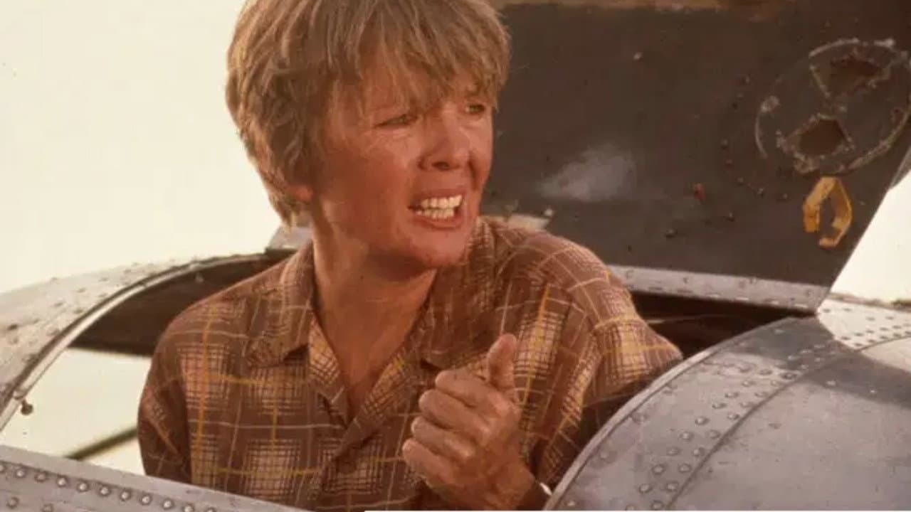 Amelia Earhart: The Final Flight - immagine